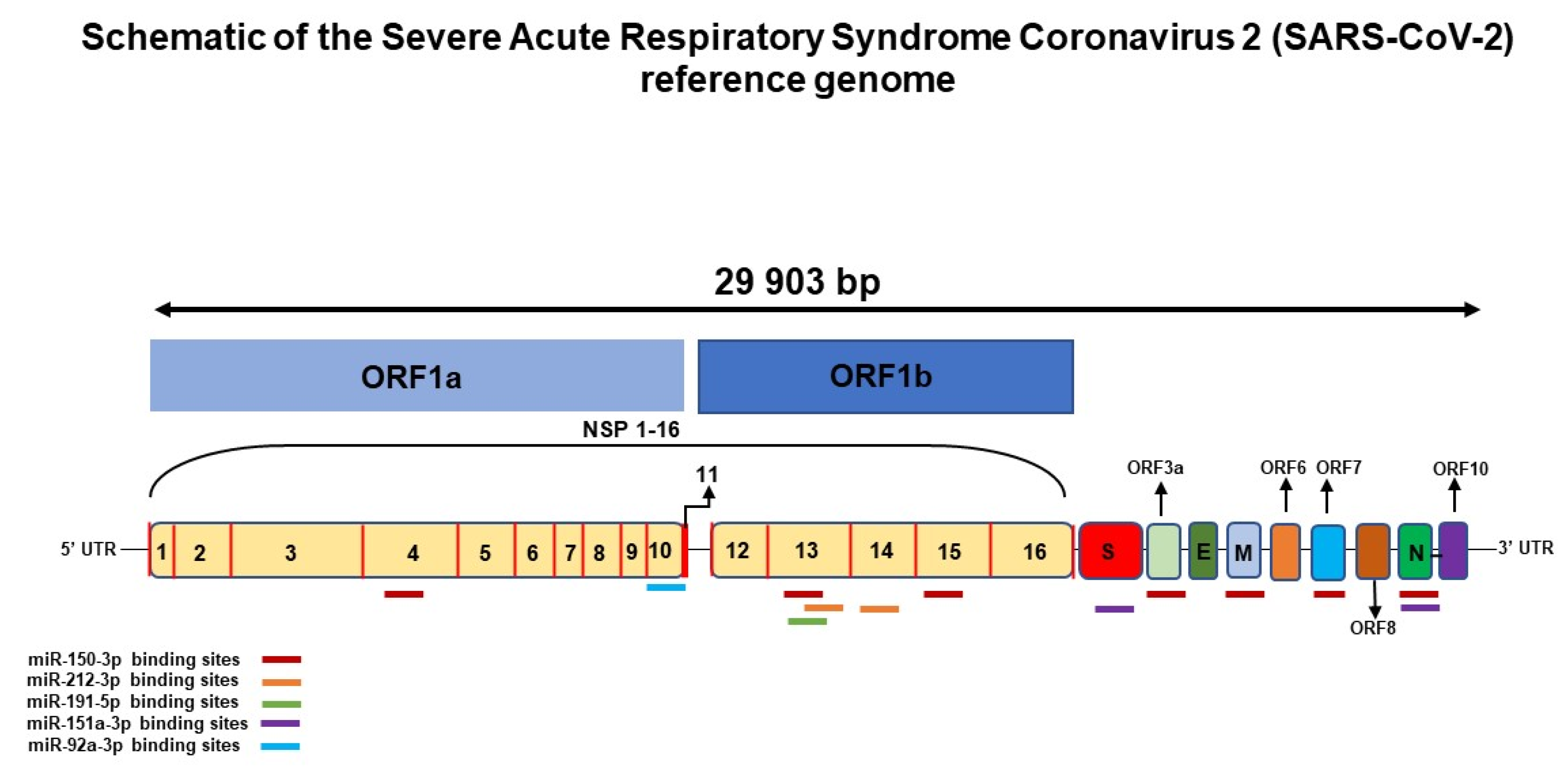 Viruses 14 01363 g003