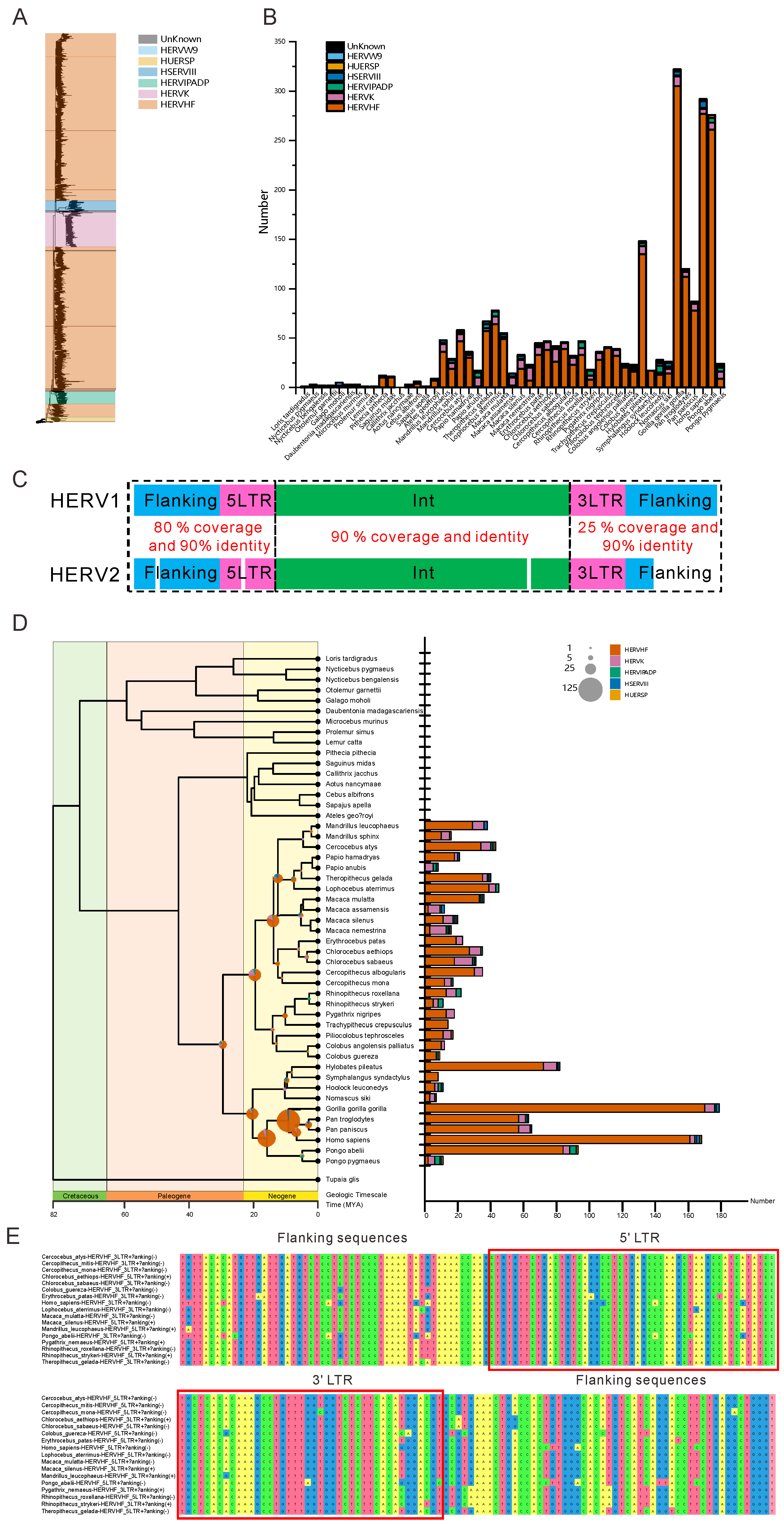 Viruses 14 01370 g001