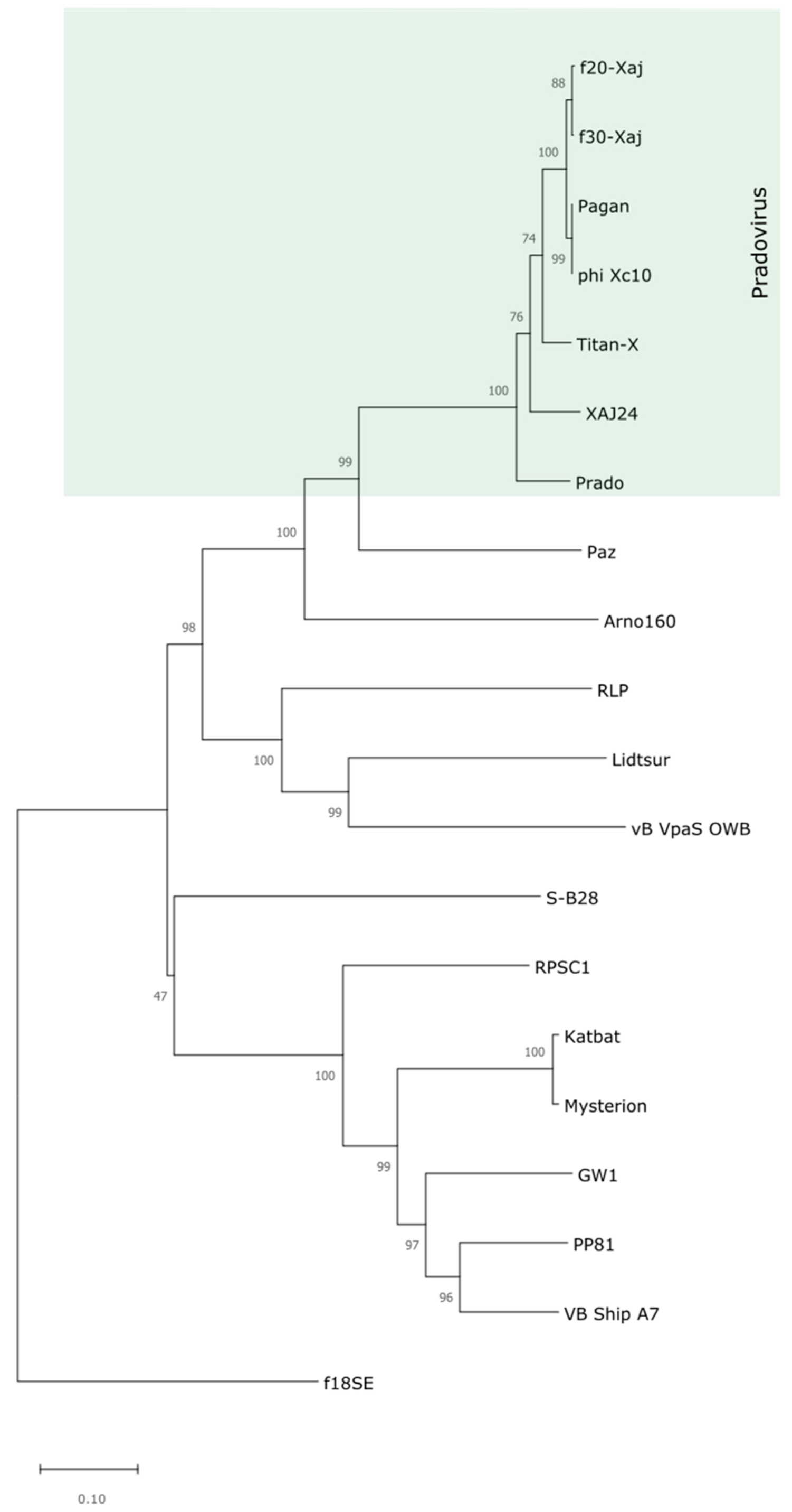 Viruses 14 01380 g003