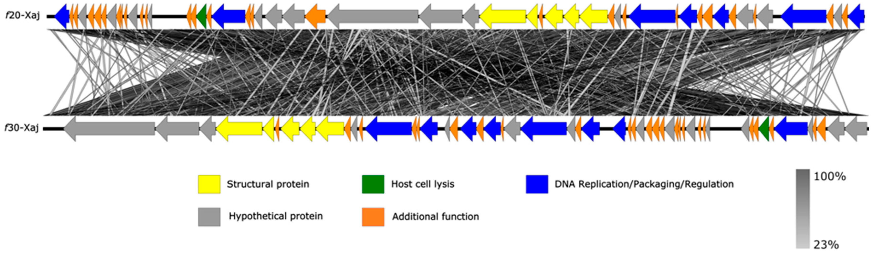 Viruses 14 01380 g005