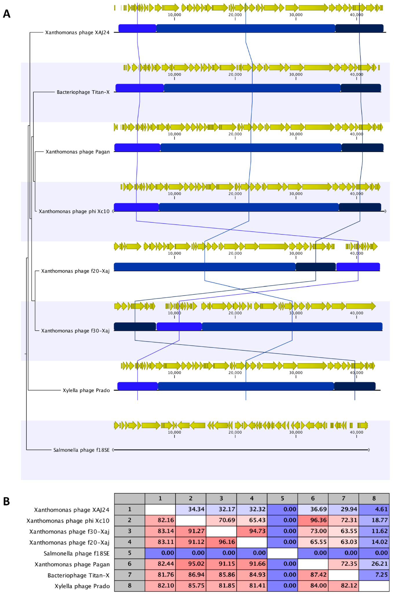 Viruses 14 01380 g006