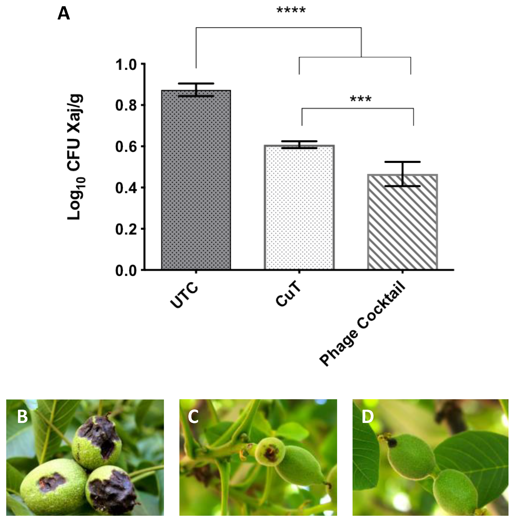 Viruses 14 01380 g007