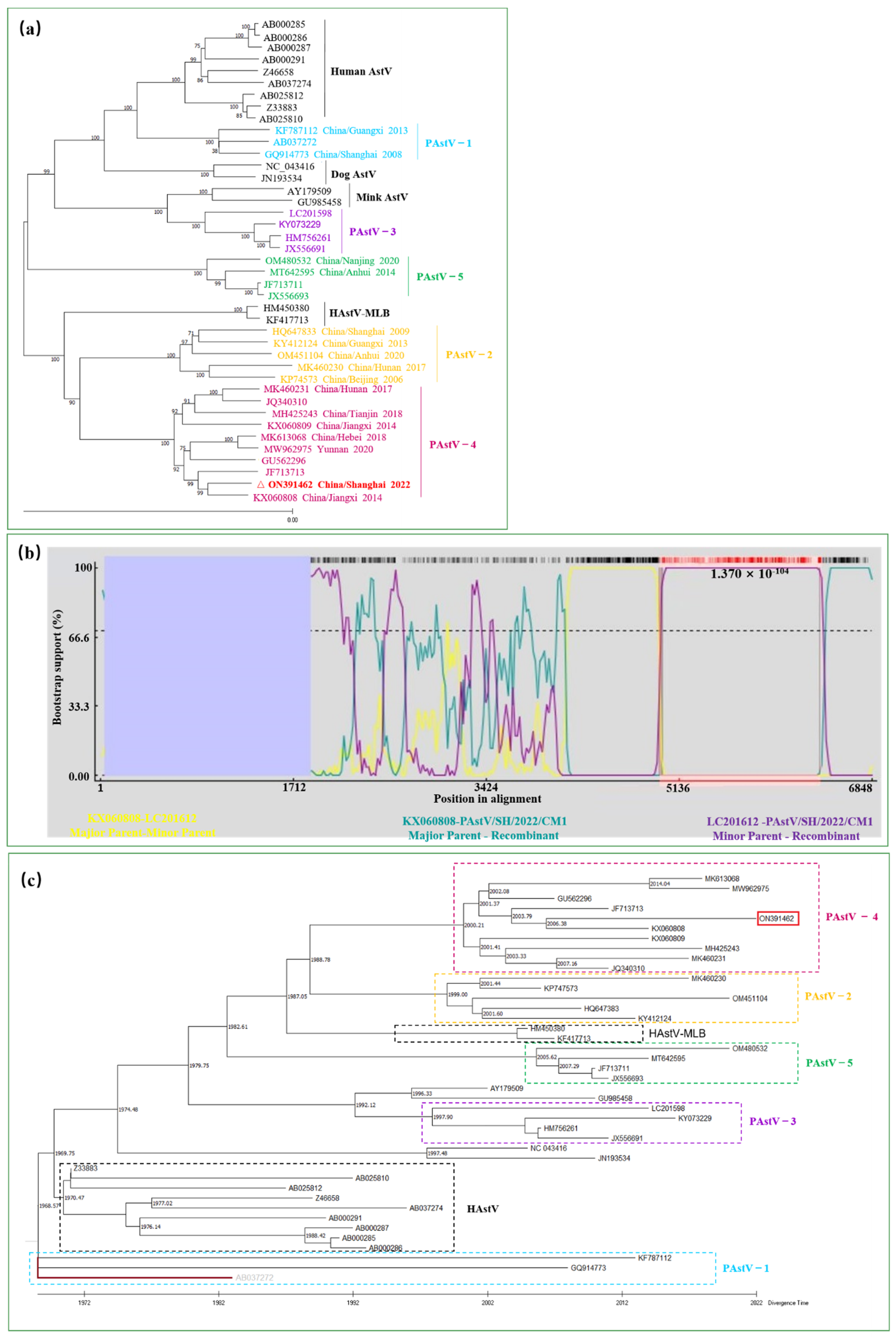 Viruses 14 01383 g002