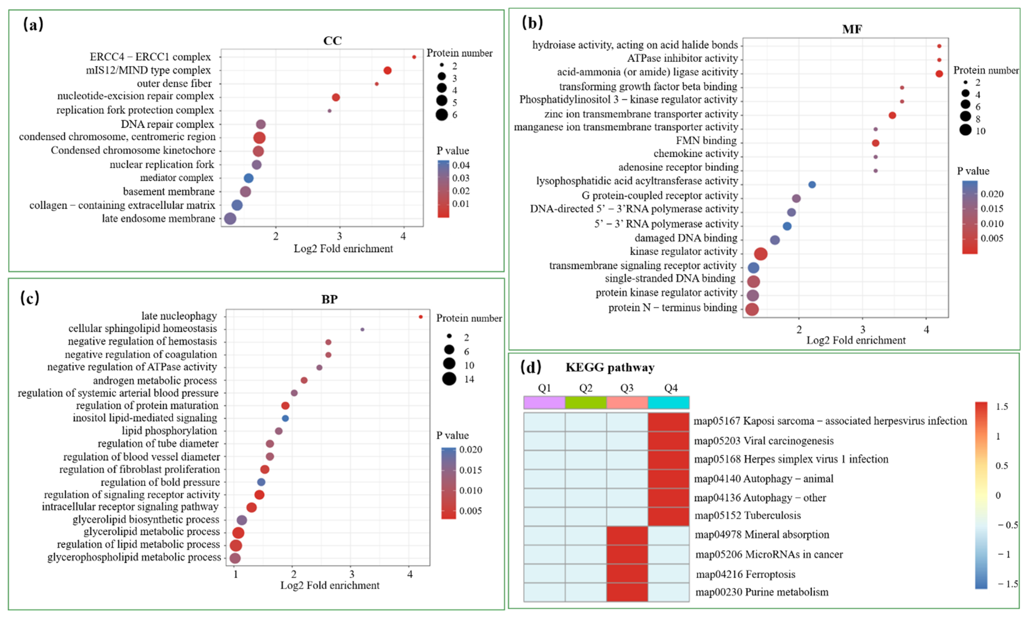 Viruses 14 01383 g004