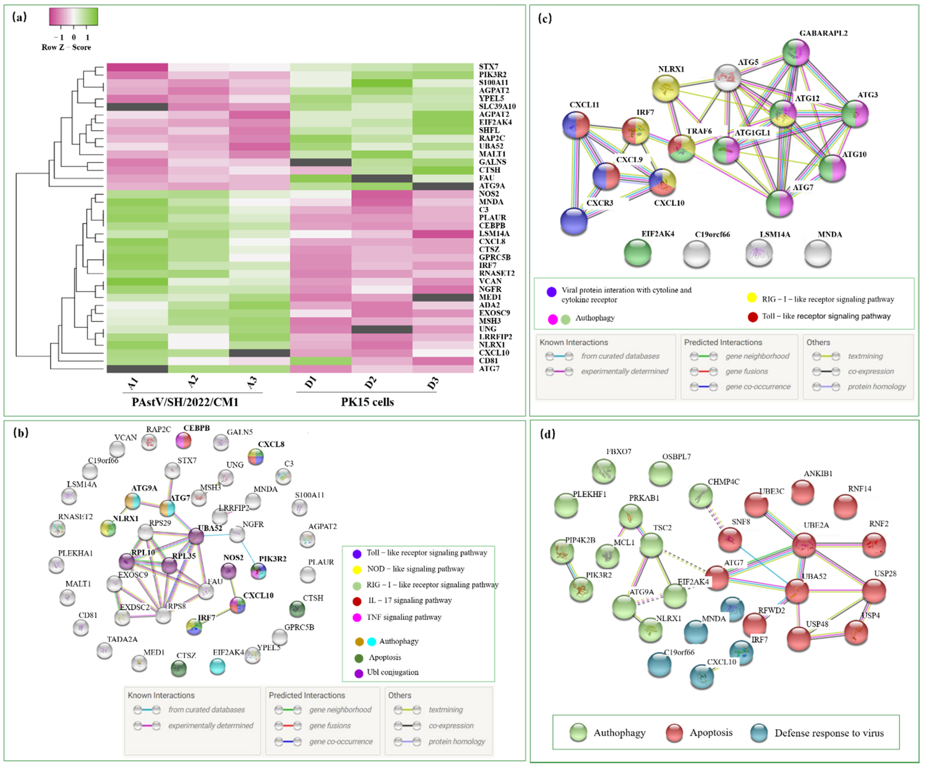 Viruses 14 01383 g006