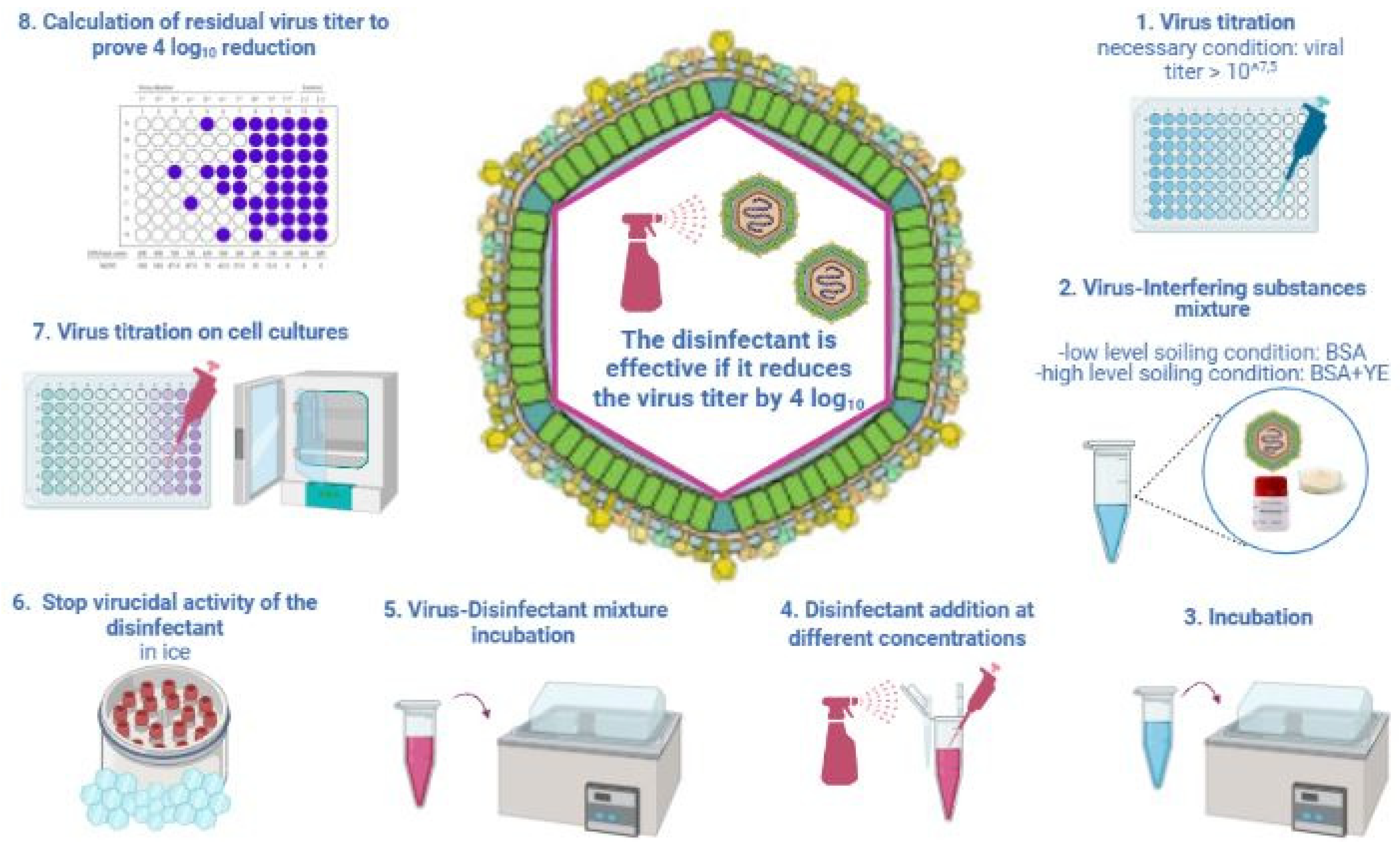 Viruses 14 01384 g001 Viruses 14 01384 g001