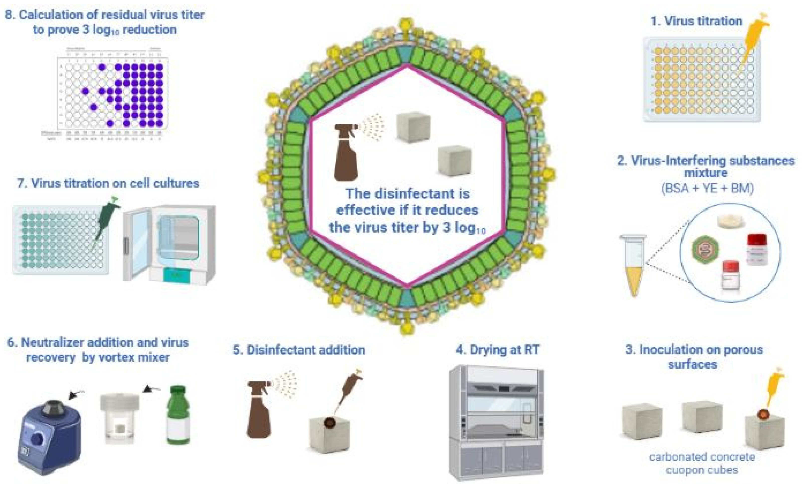 Viruses 14 01384 g003 Viruses 14 01384 g003