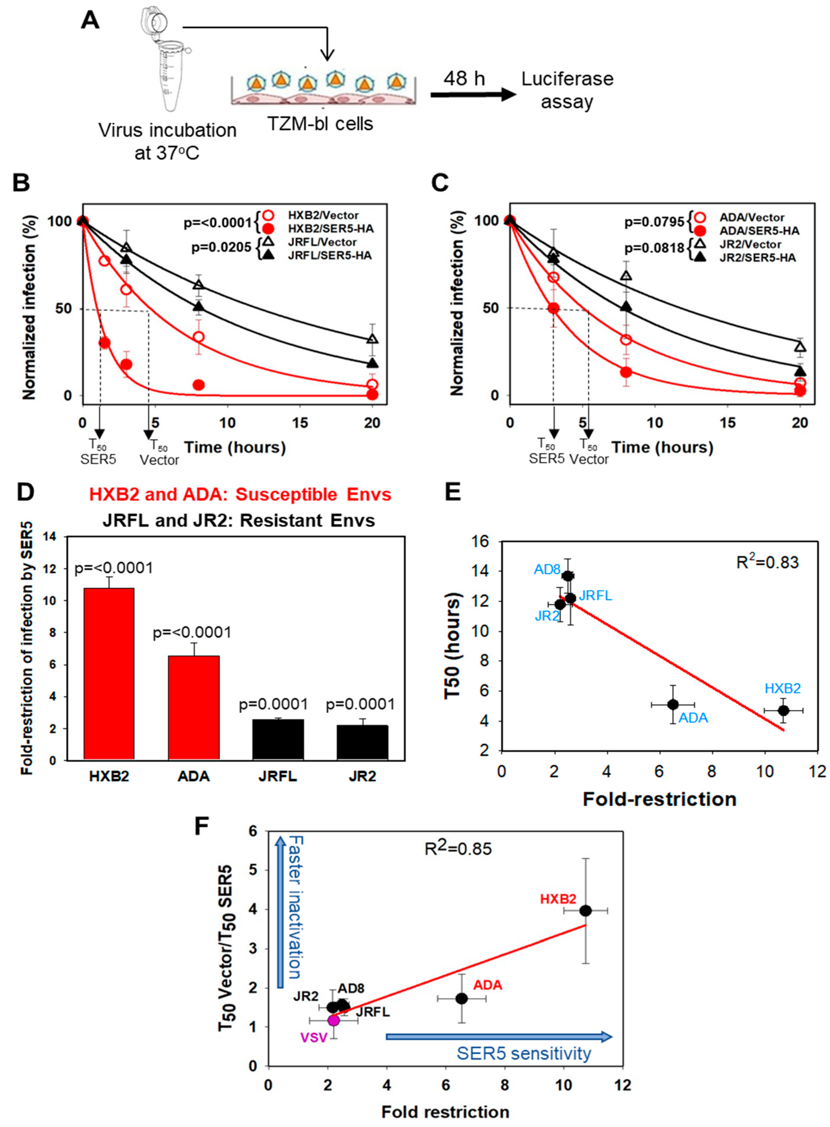 Viruses 14 01388 g001 Viruses 14 01388 g001