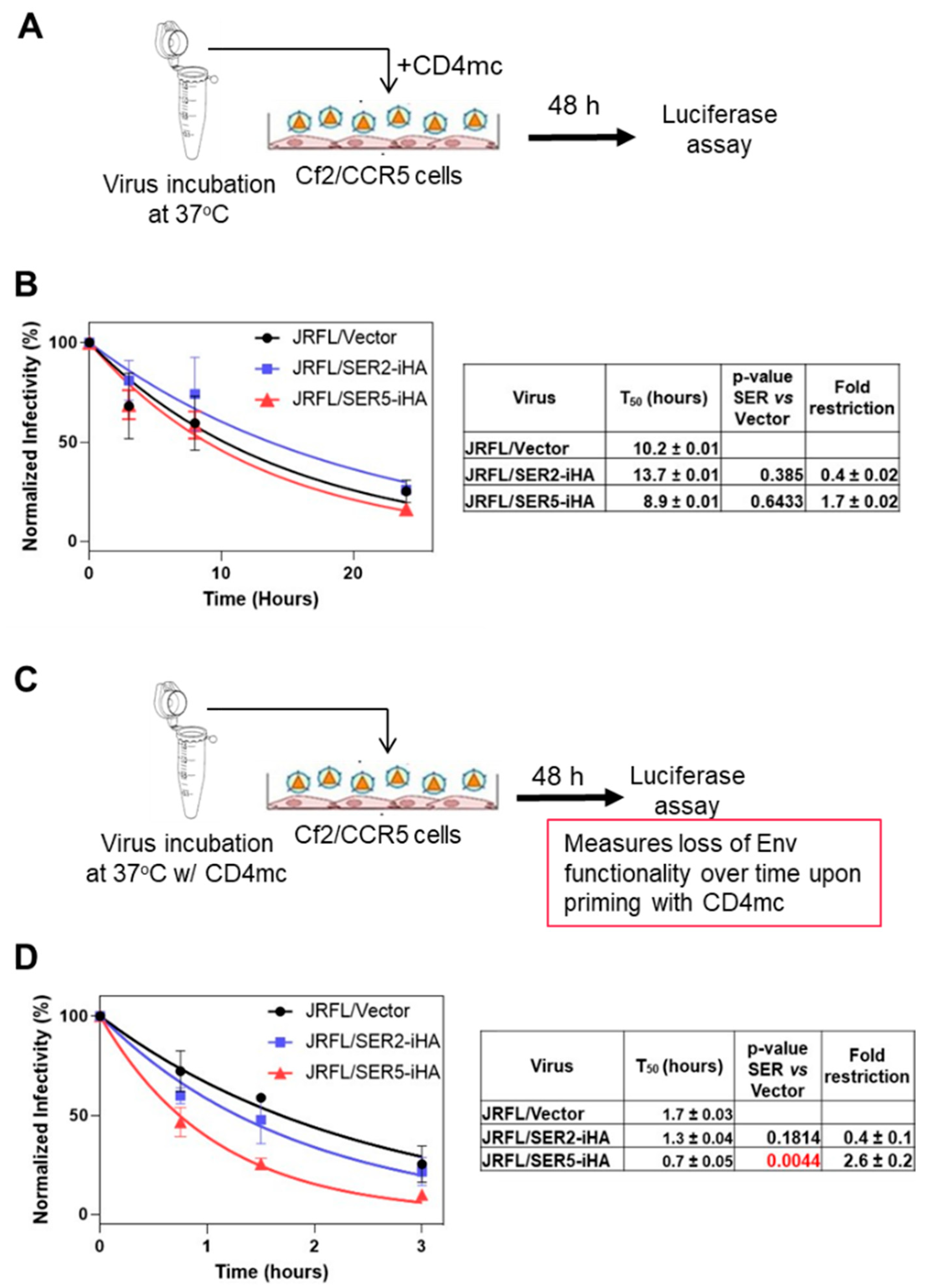 Viruses 14 01388 g003 Viruses 14 01388 g003