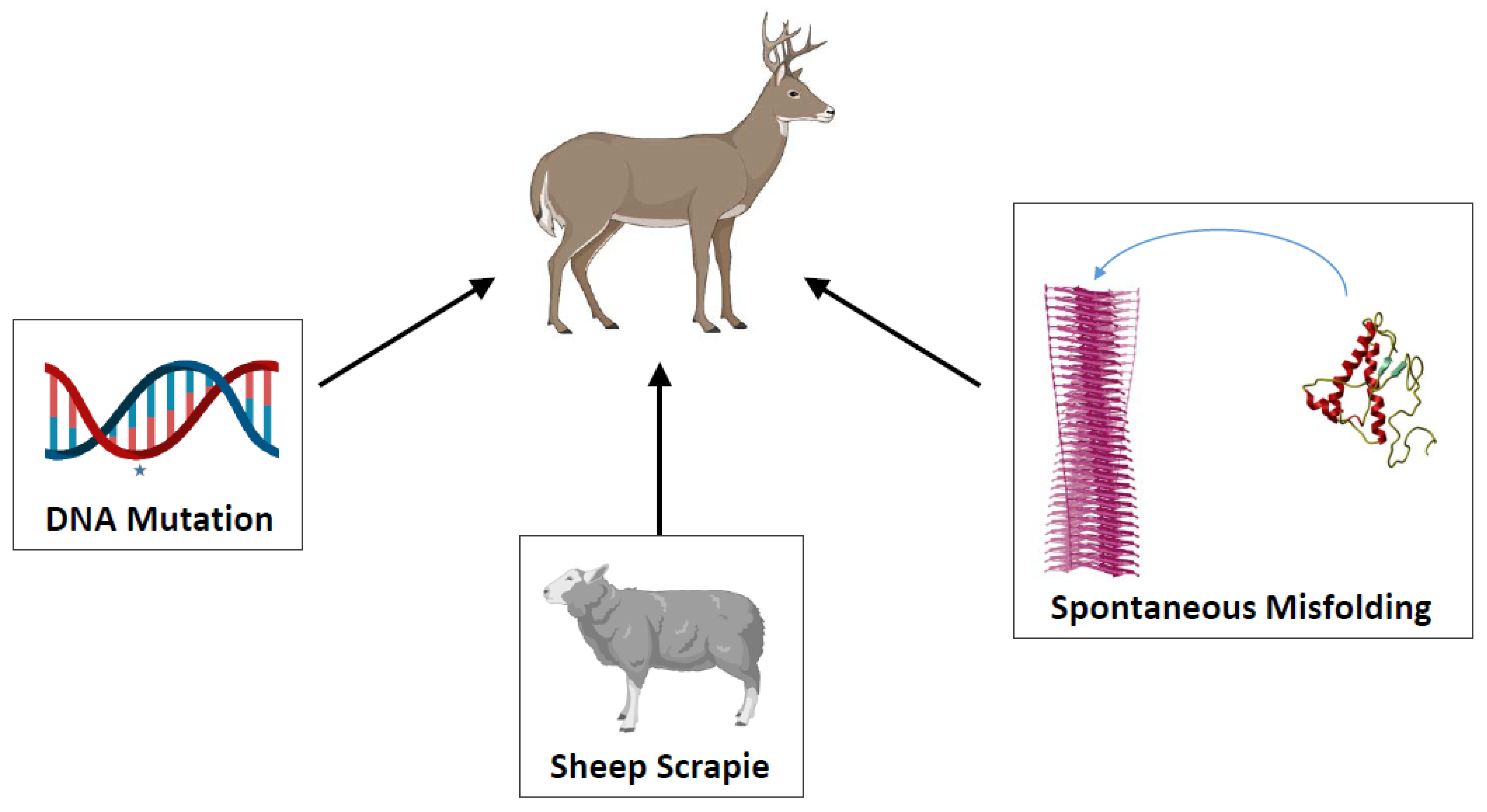 Viruses 14 01390 g001