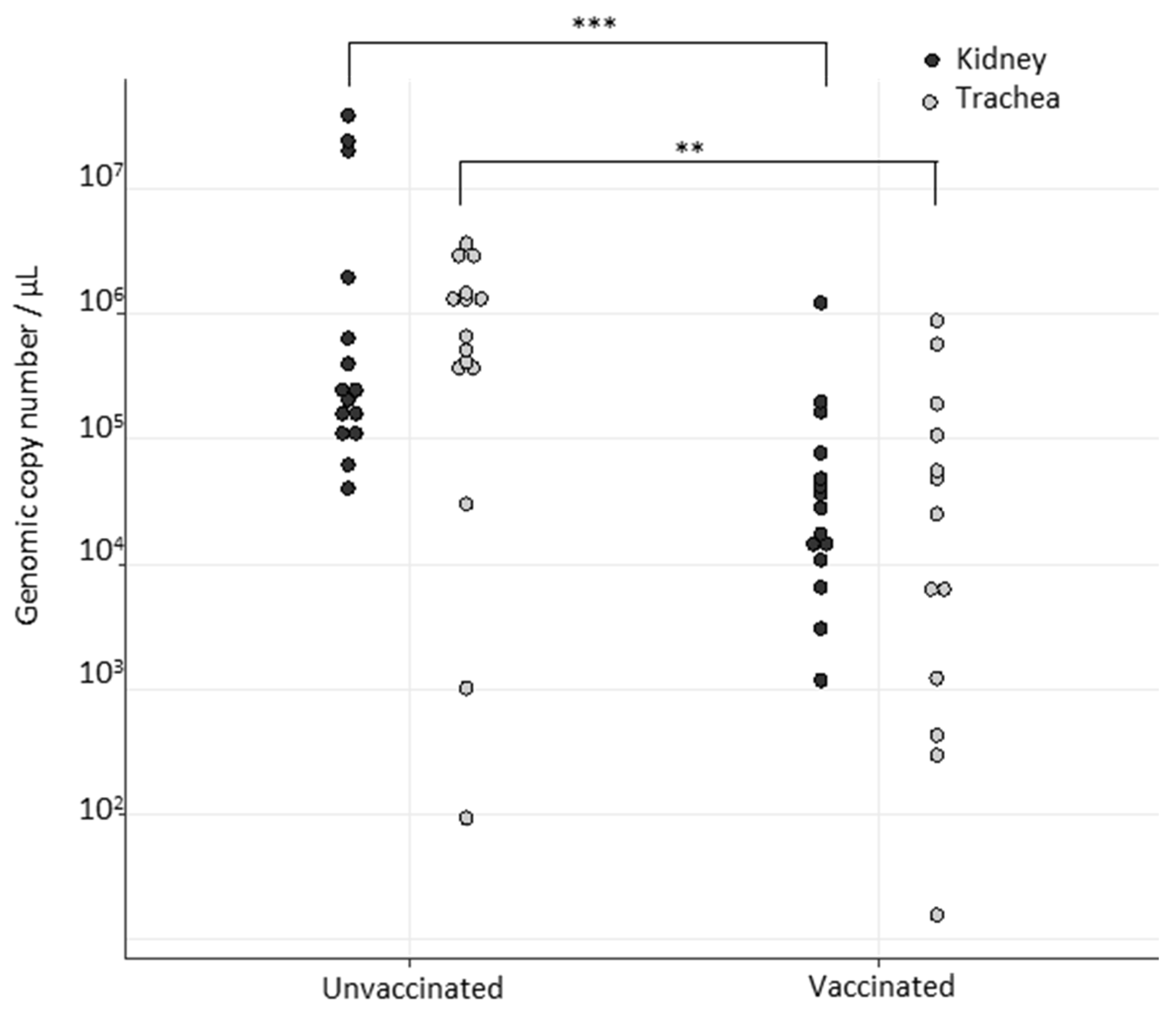 Viruses 14 01392 g001