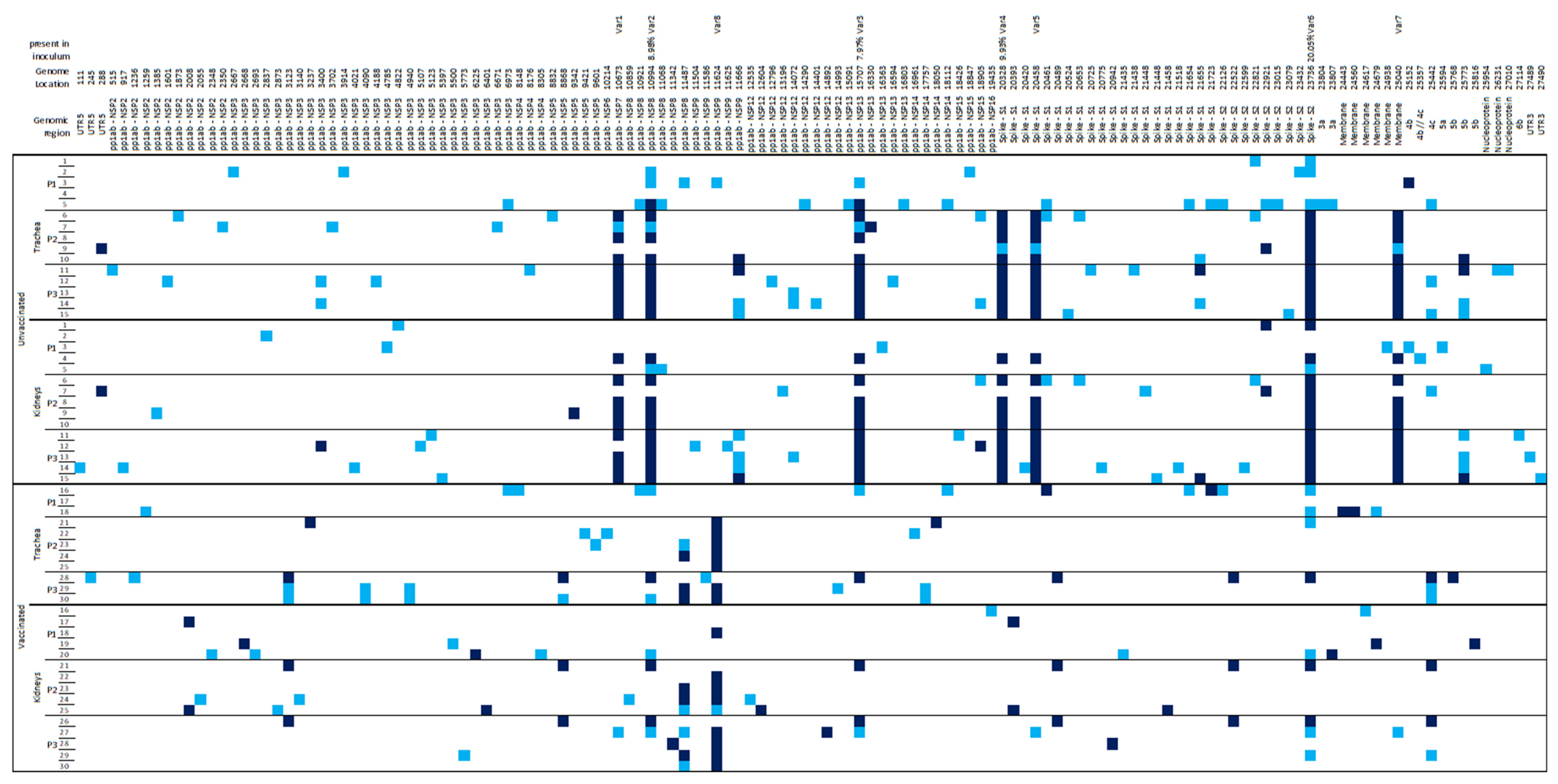 Viruses 14 01392 g003