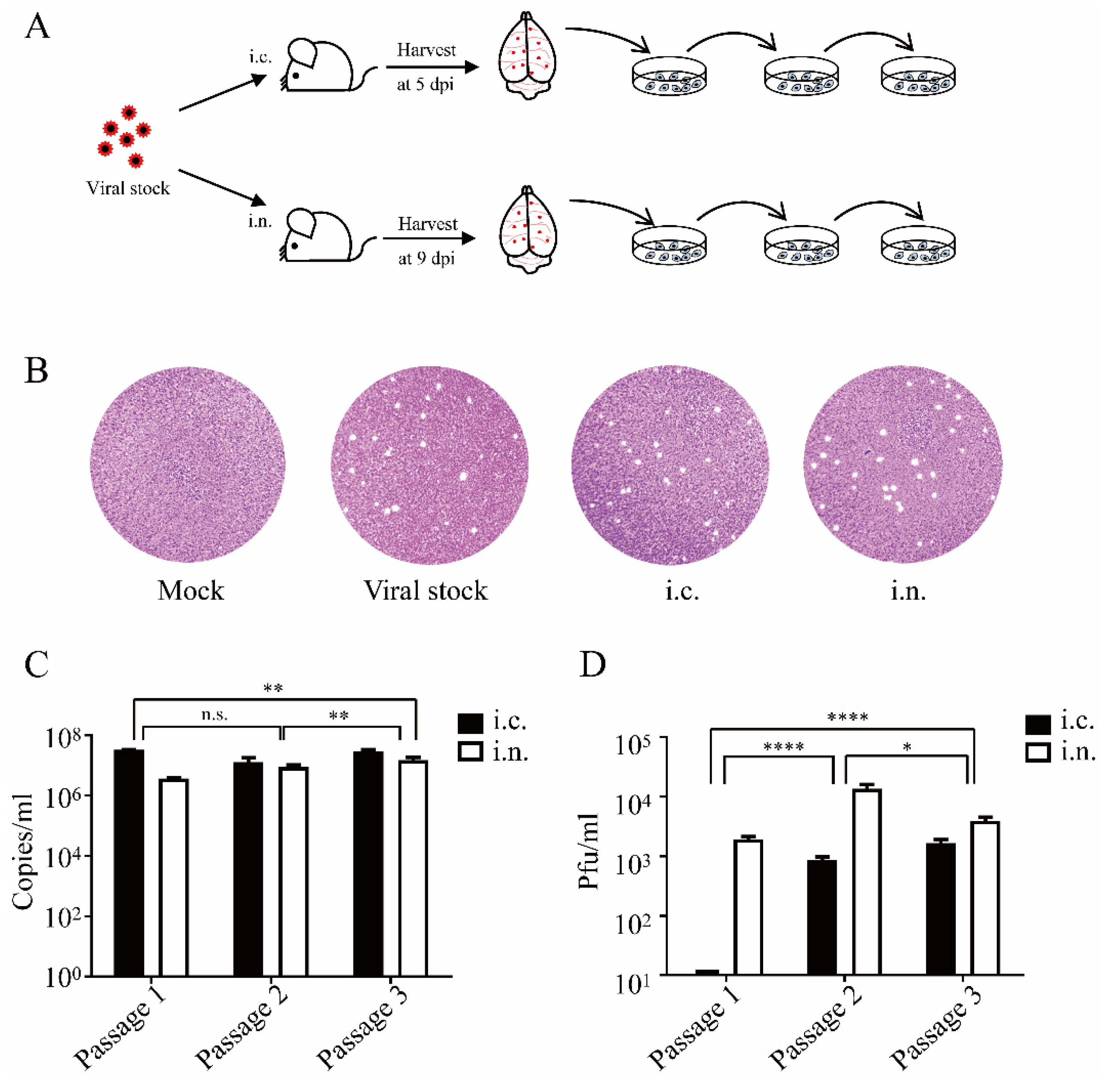 Viruses 14 01394 g004