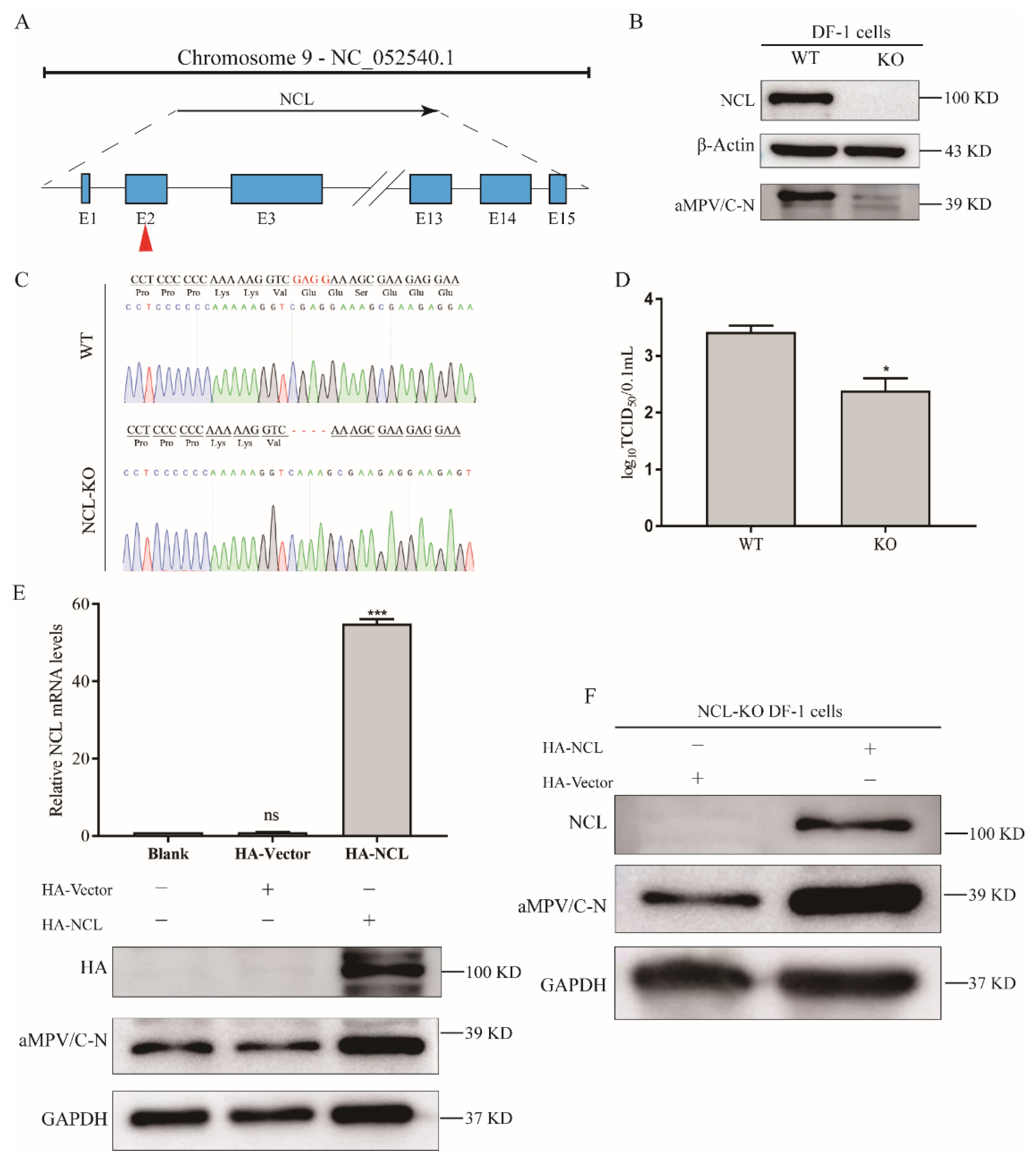 Viruses 14 01402 g003 Viruses 14 01402 g003