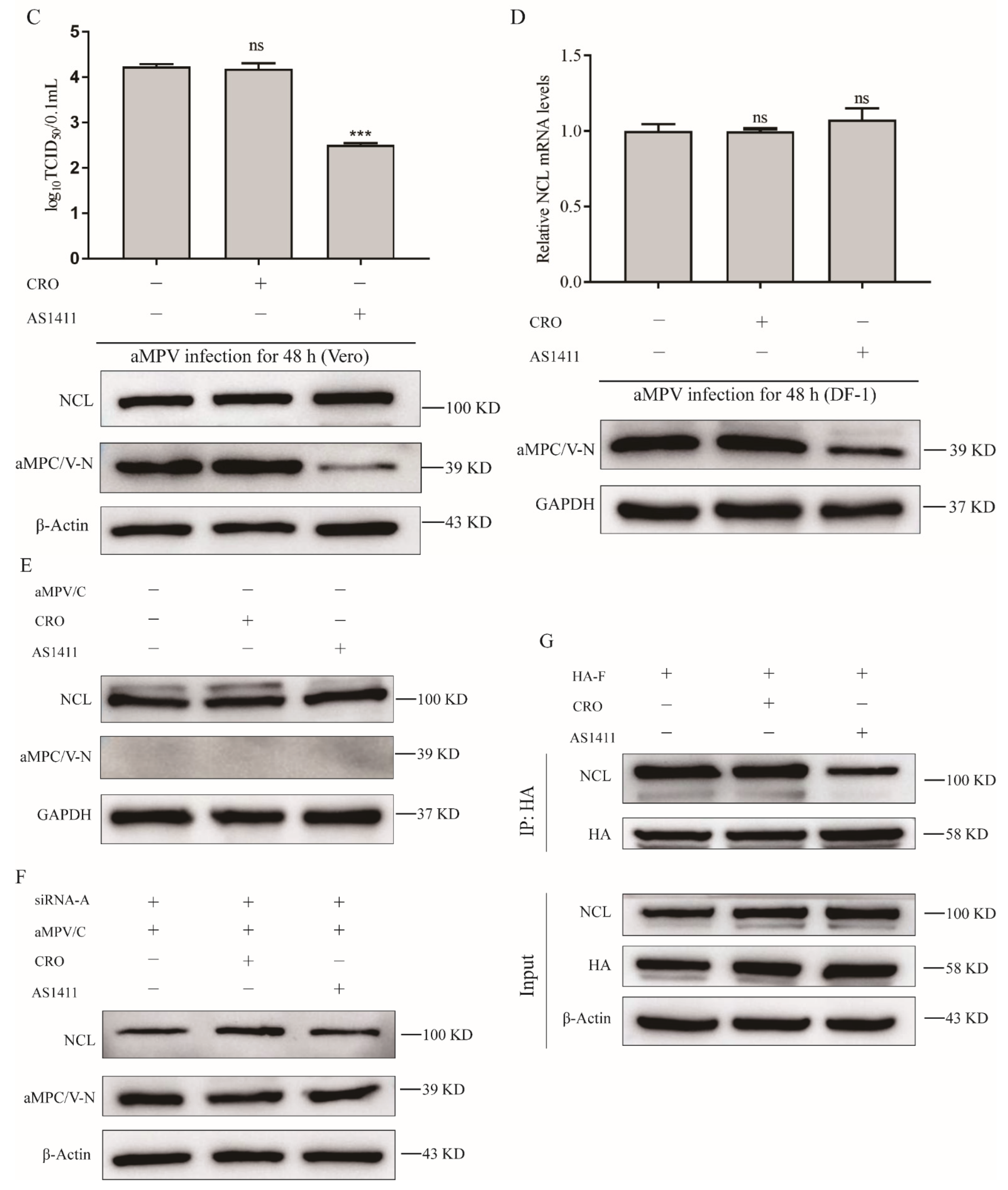 Viruses 14 01402 g005b Viruses 14 01402 g005b