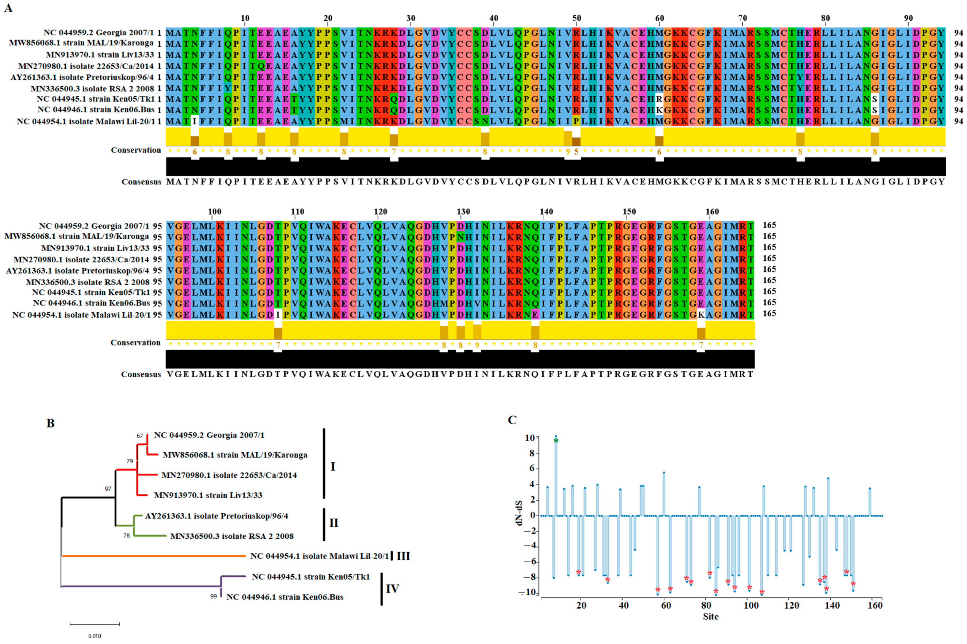 Viruses 14 01409 g001