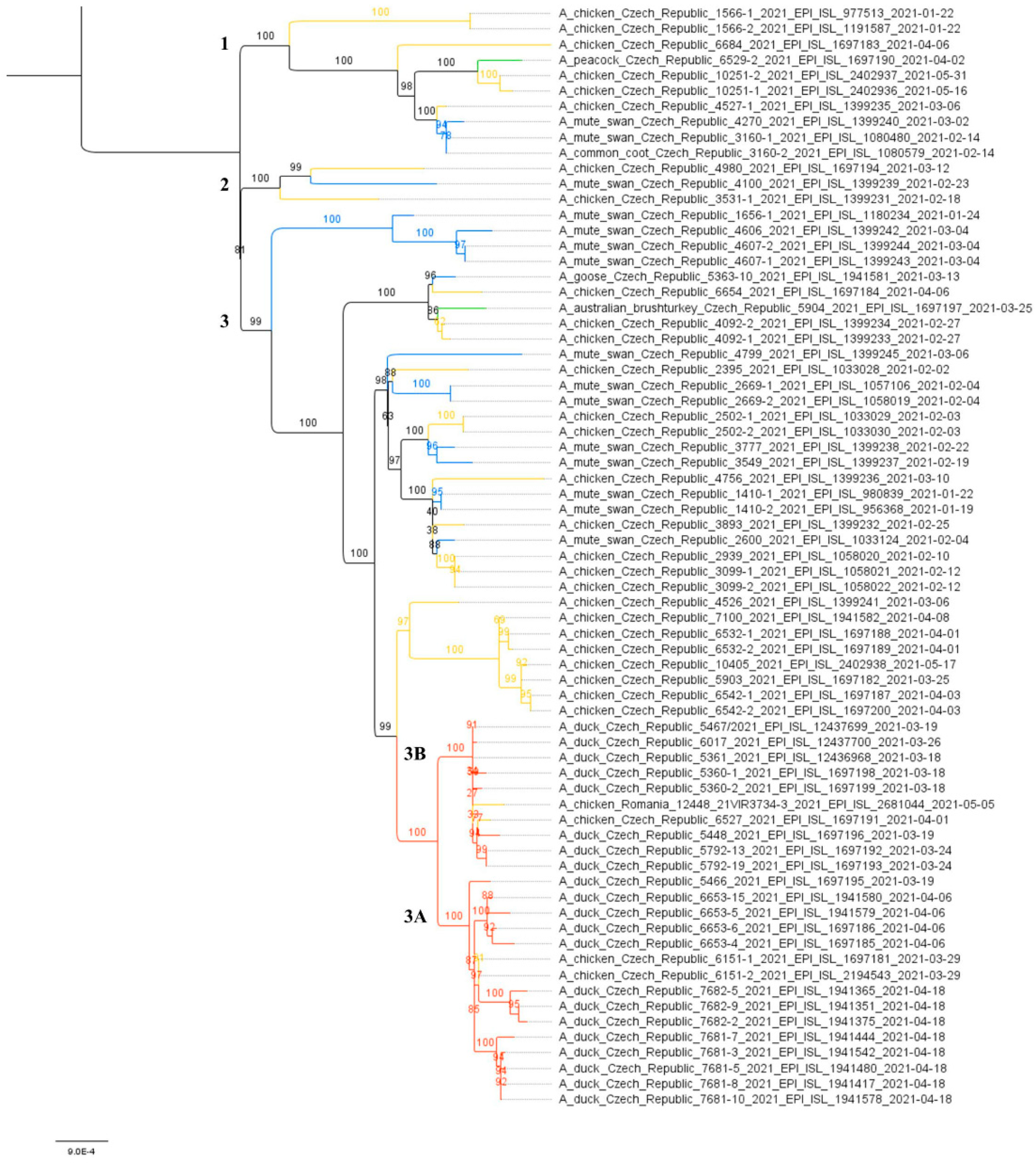 Viruses 14 01411 g002