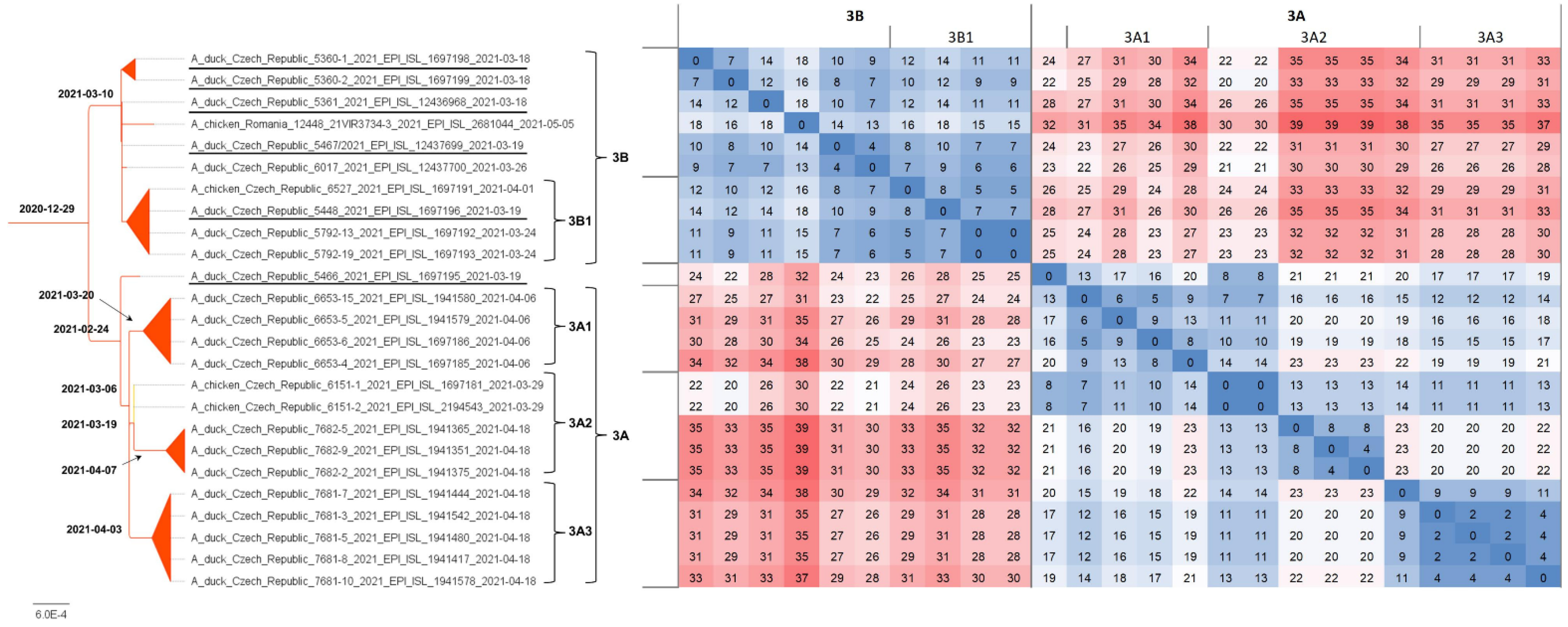 Viruses 14 01411 g003