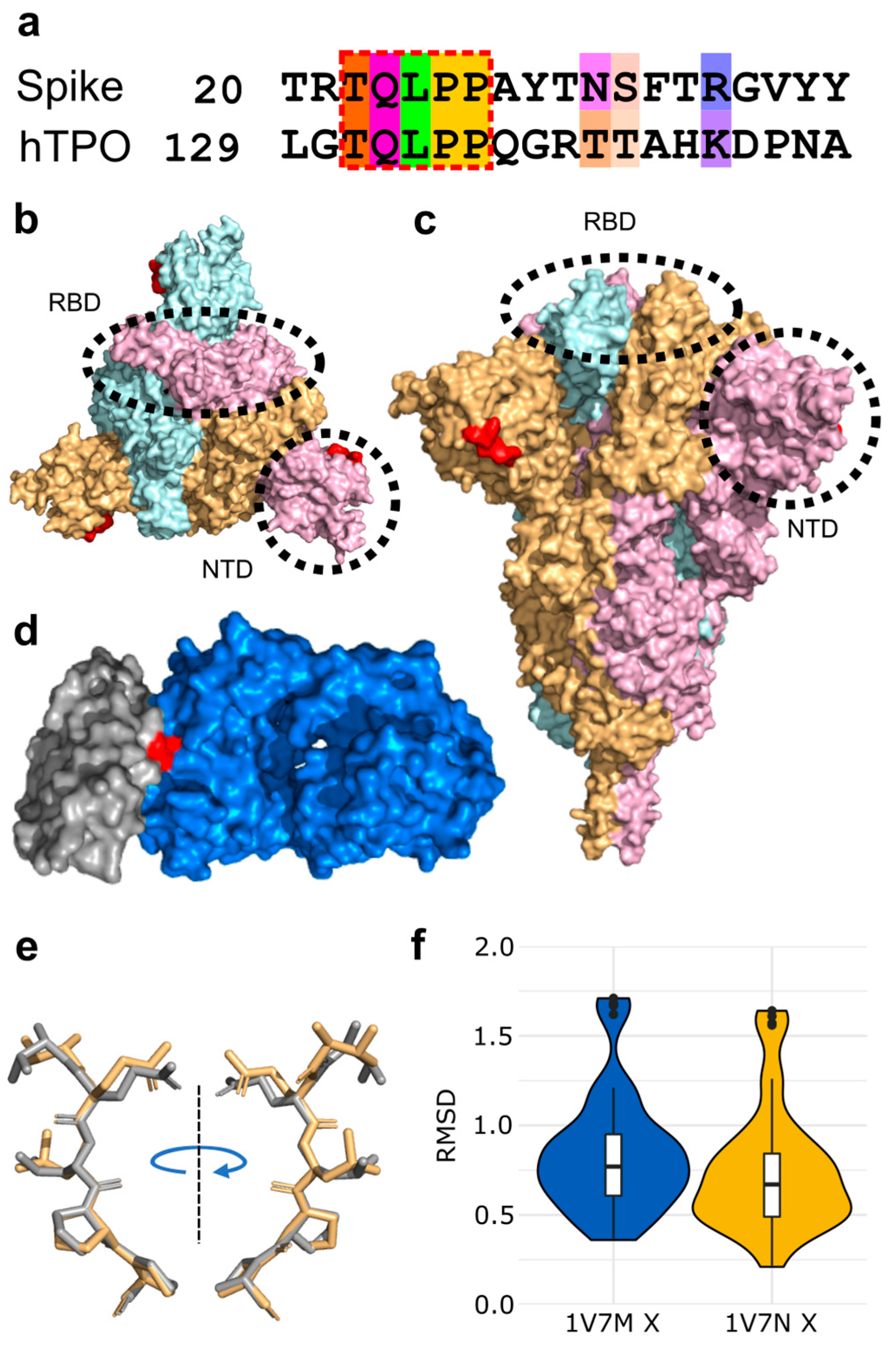 Viruses 14 01415 g003 Viruses 14 01415 g003