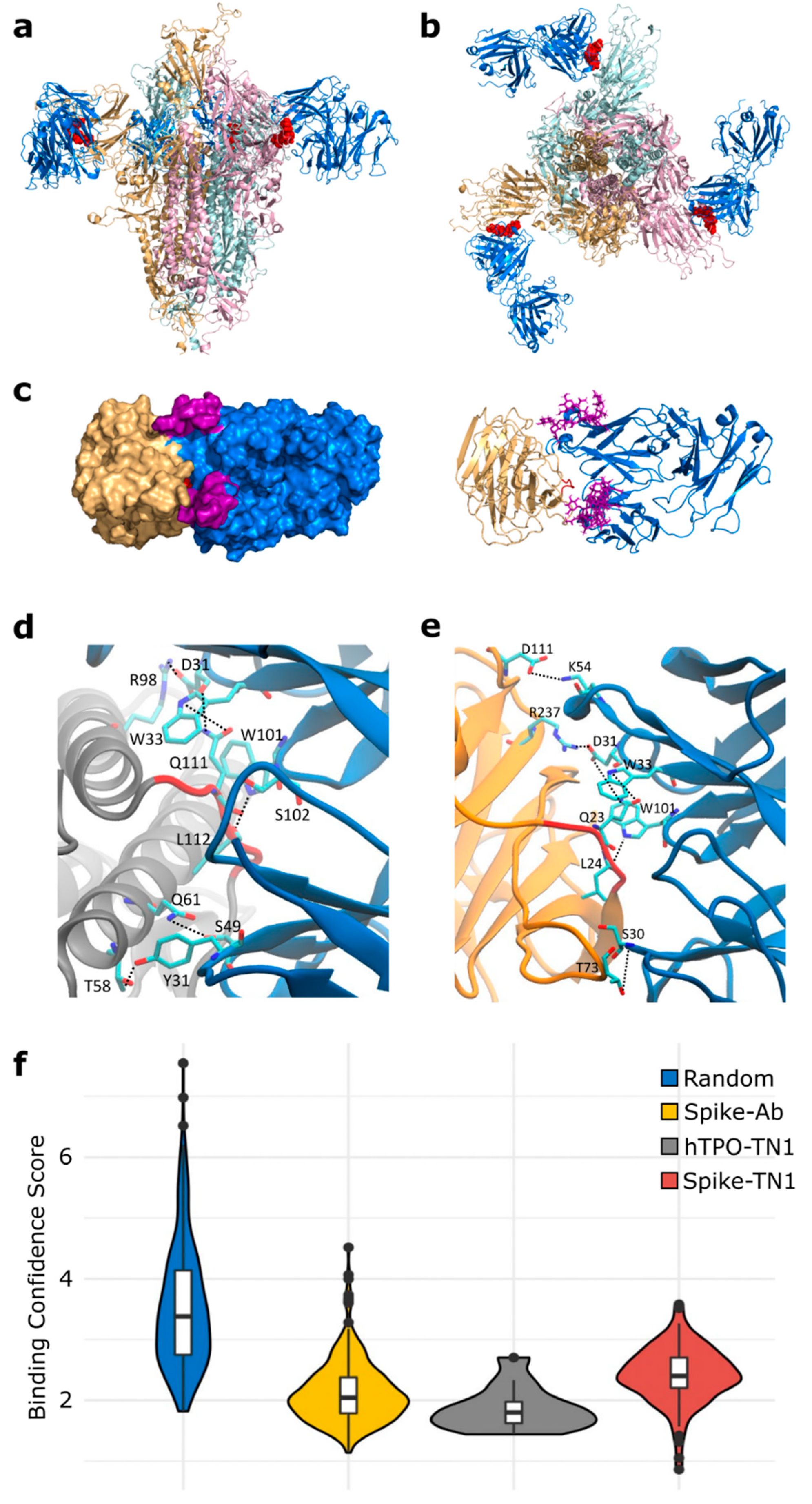 Viruses 14 01415 g004 Viruses 14 01415 g004