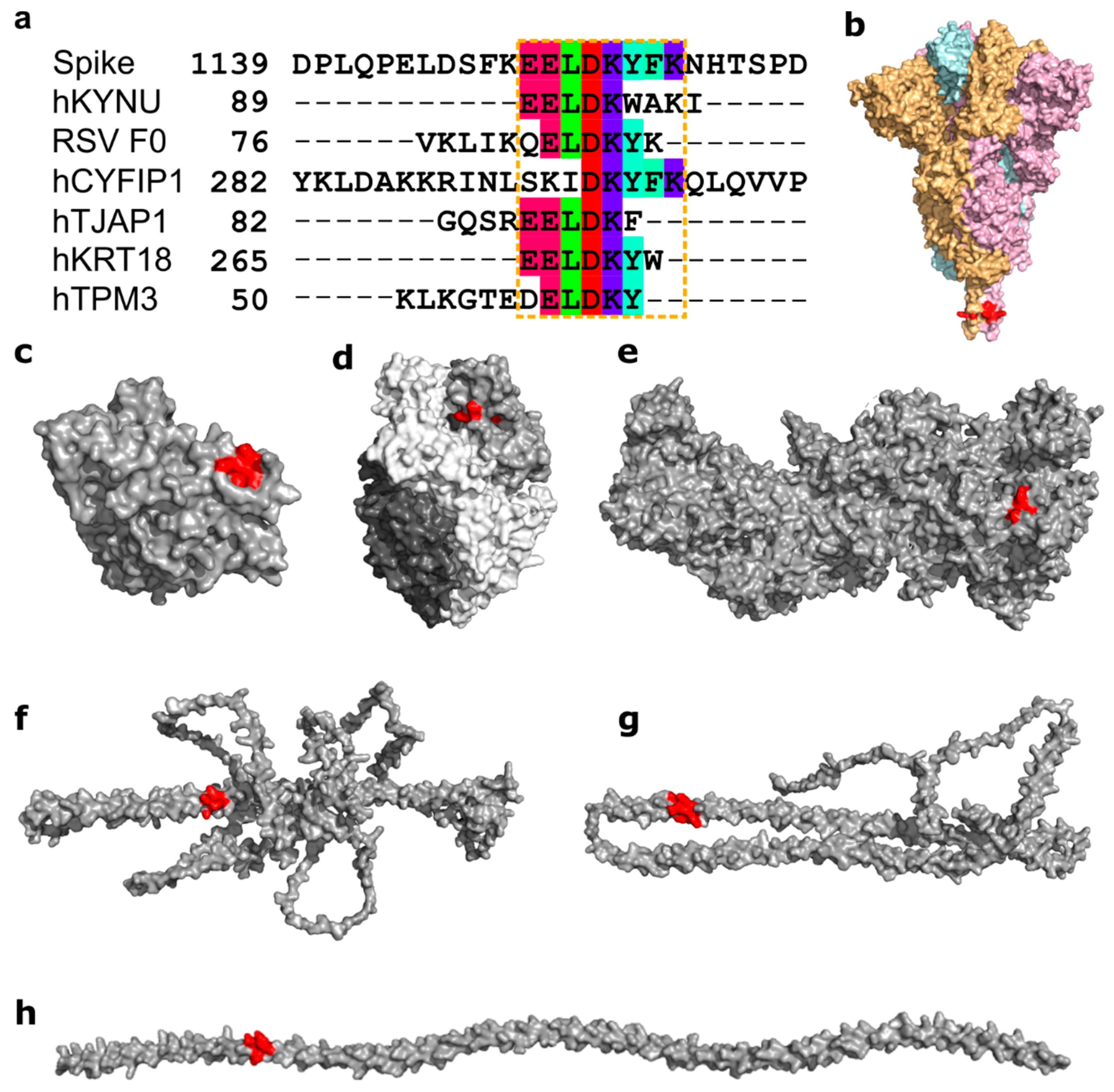 Viruses 14 01415 g006 Viruses 14 01415 g006