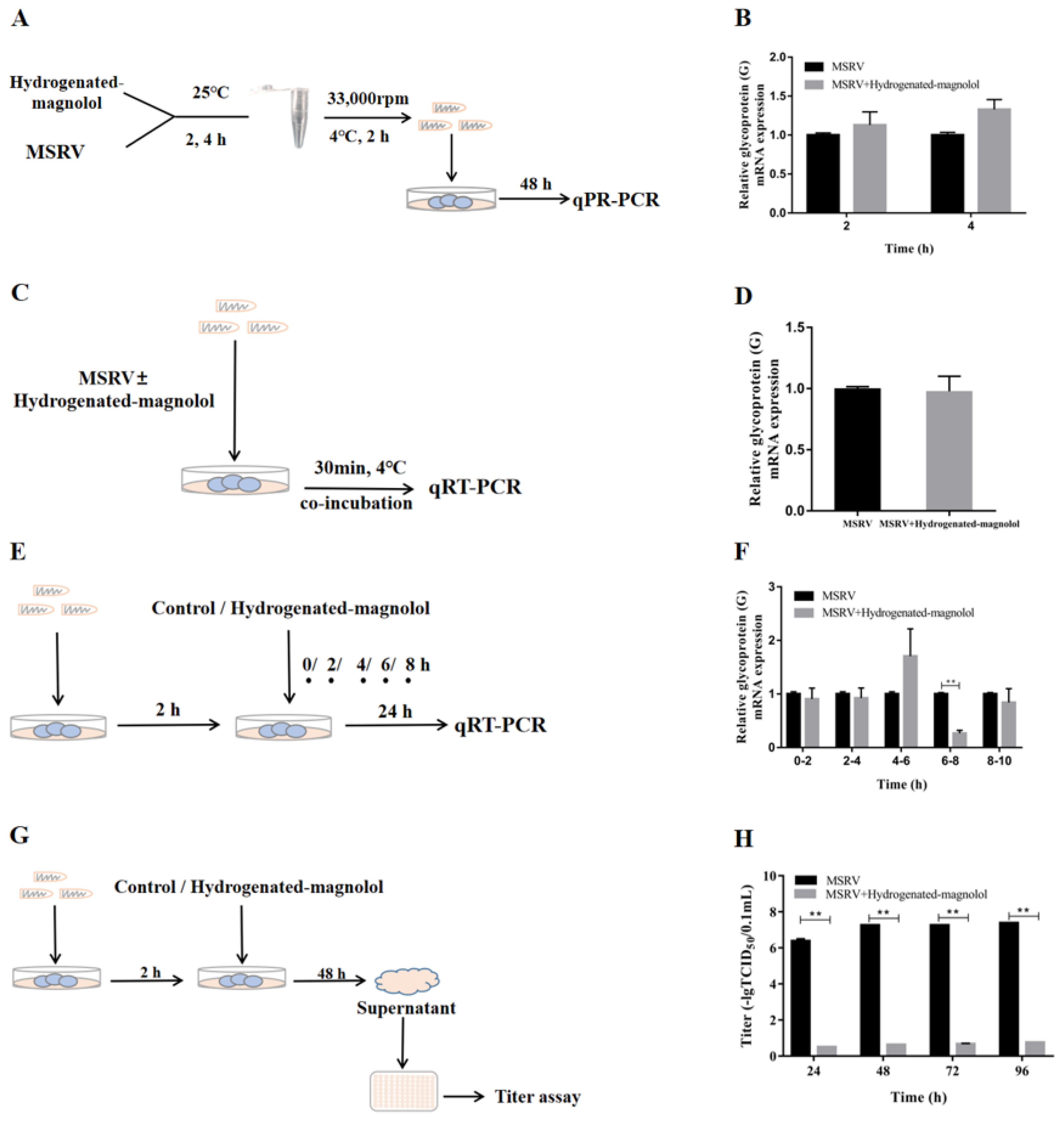 Viruses 14 01421 g007