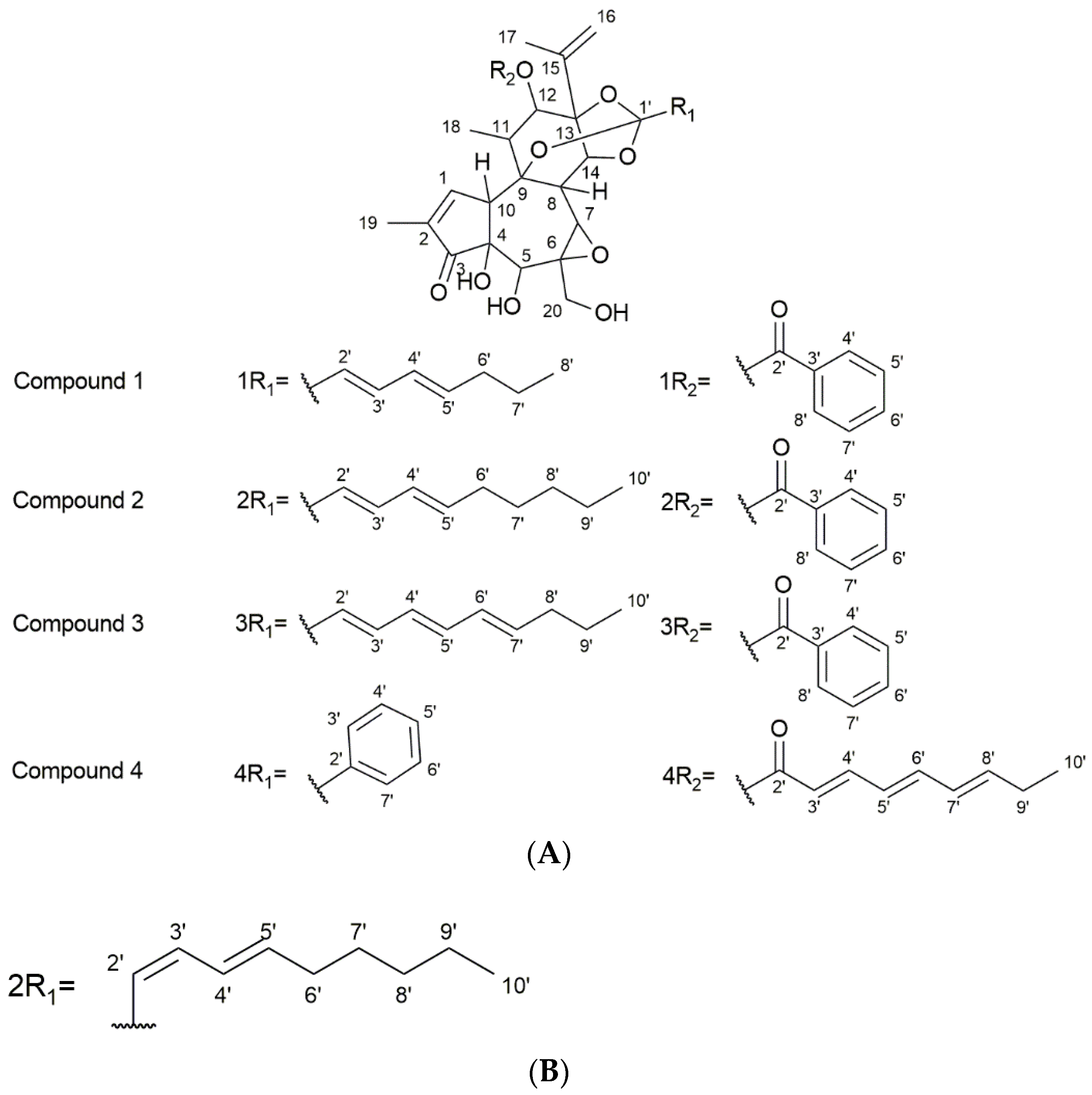 Viruses 14 01437 g003