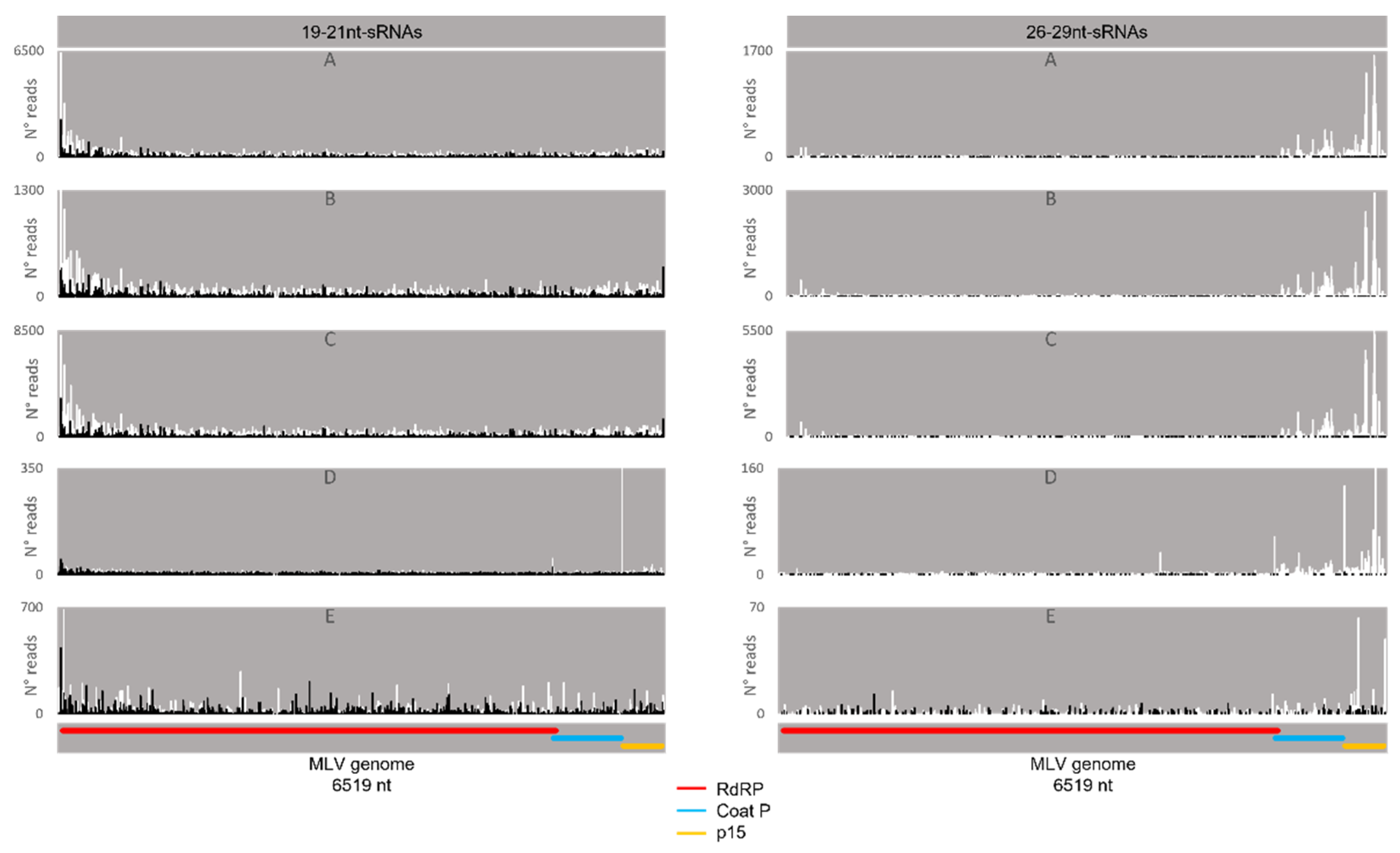Viruses 14 01442 g007