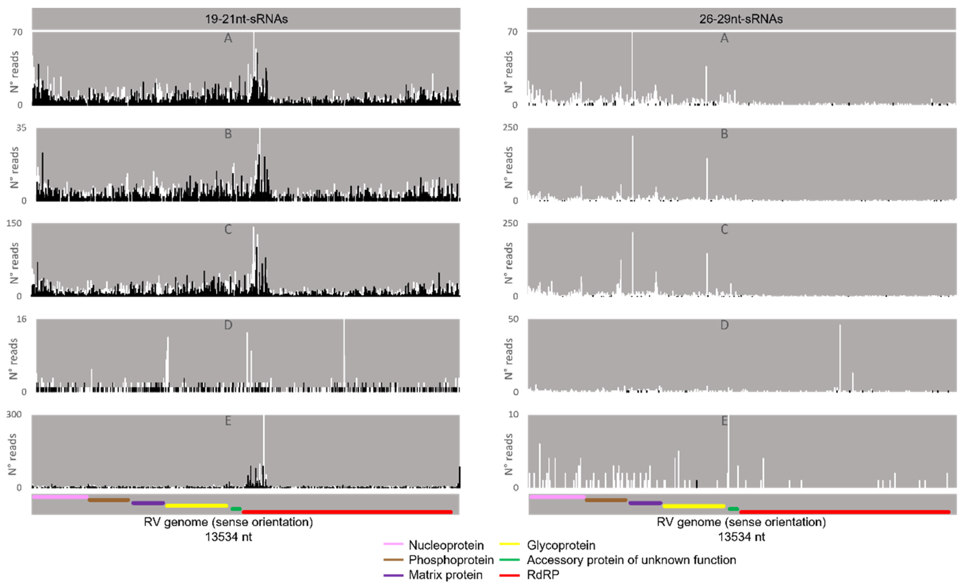 Viruses 14 01442 g008