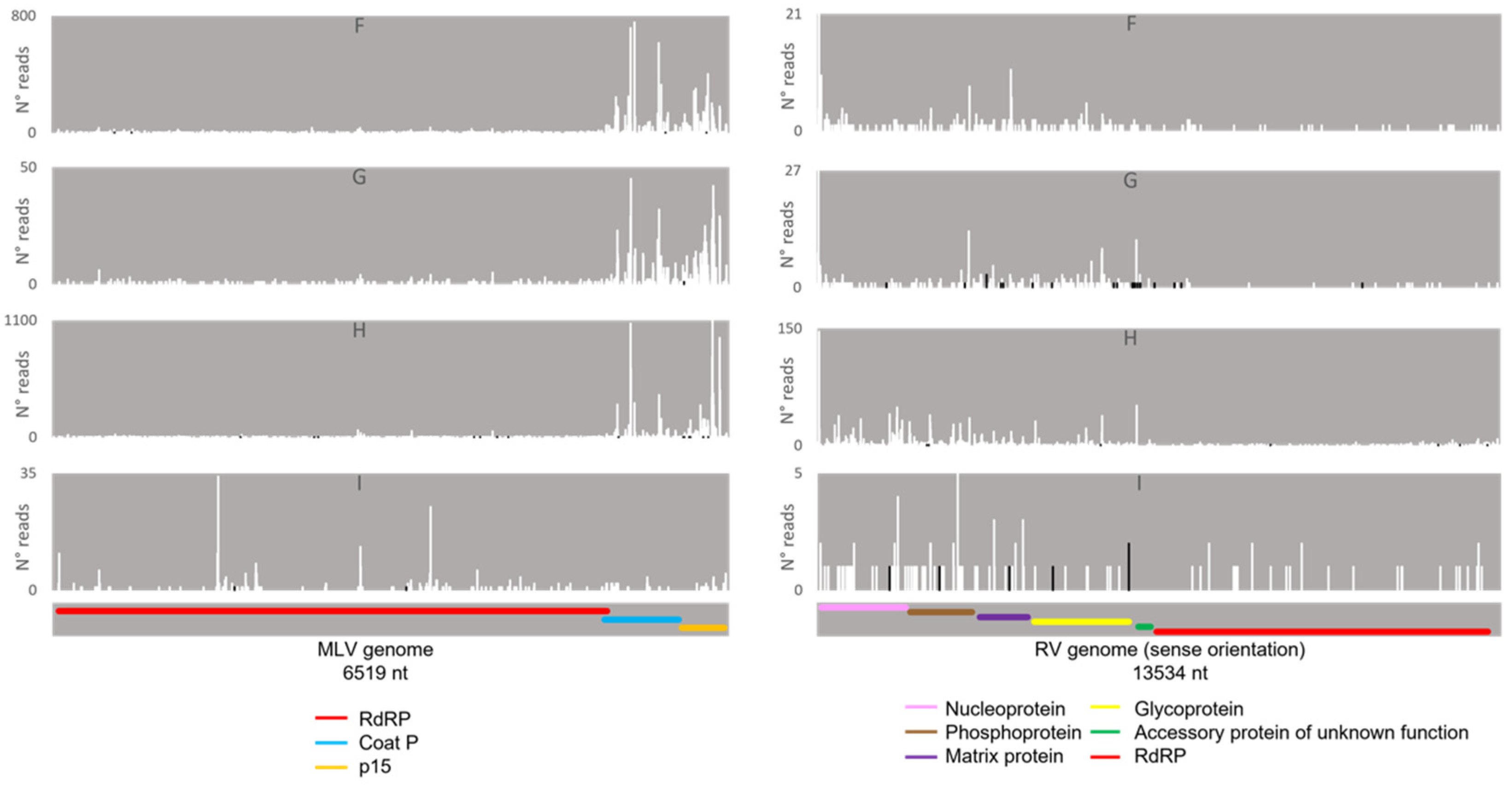 Viruses 14 01442 g014