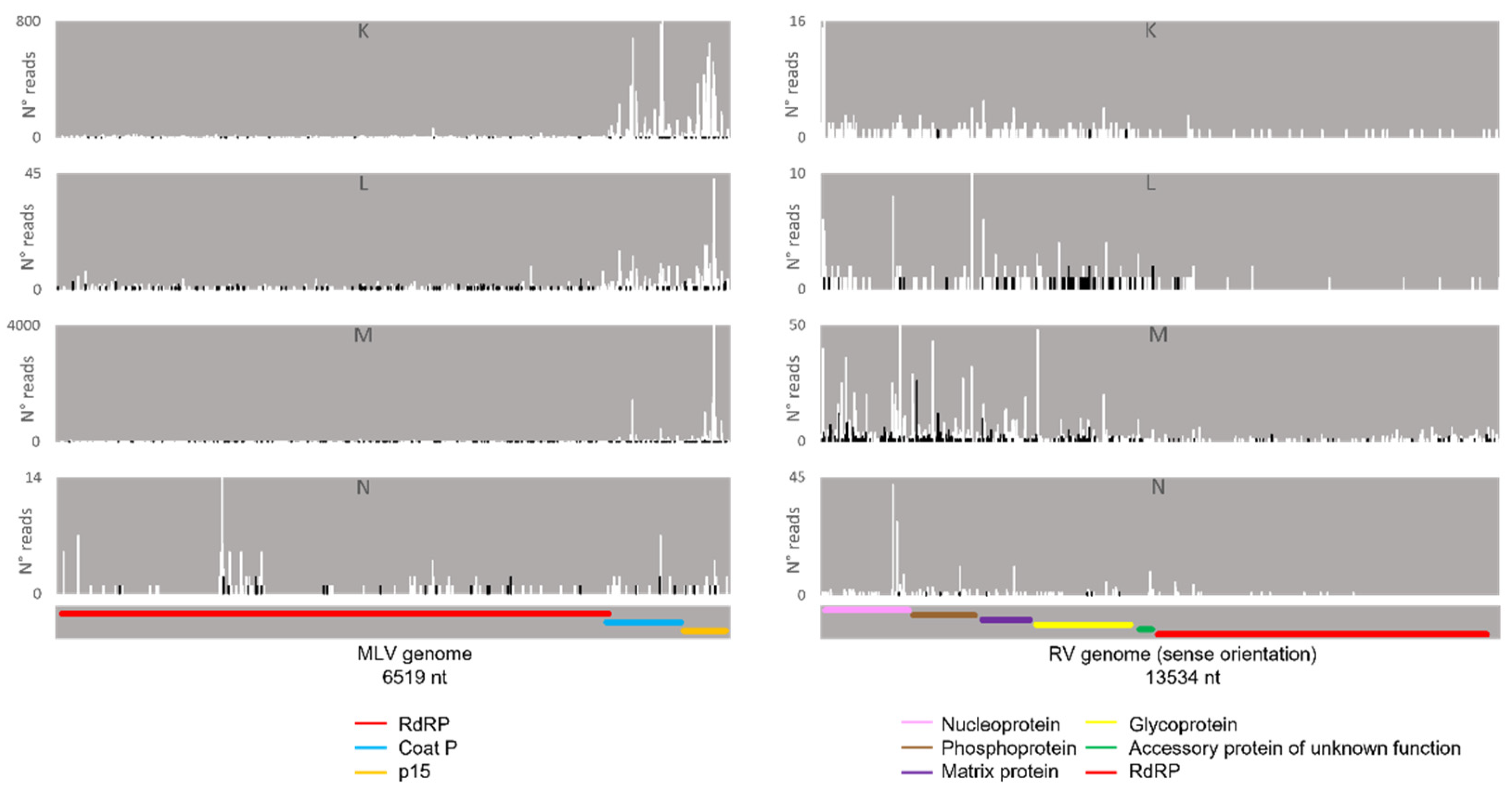 Viruses 14 01442 g015