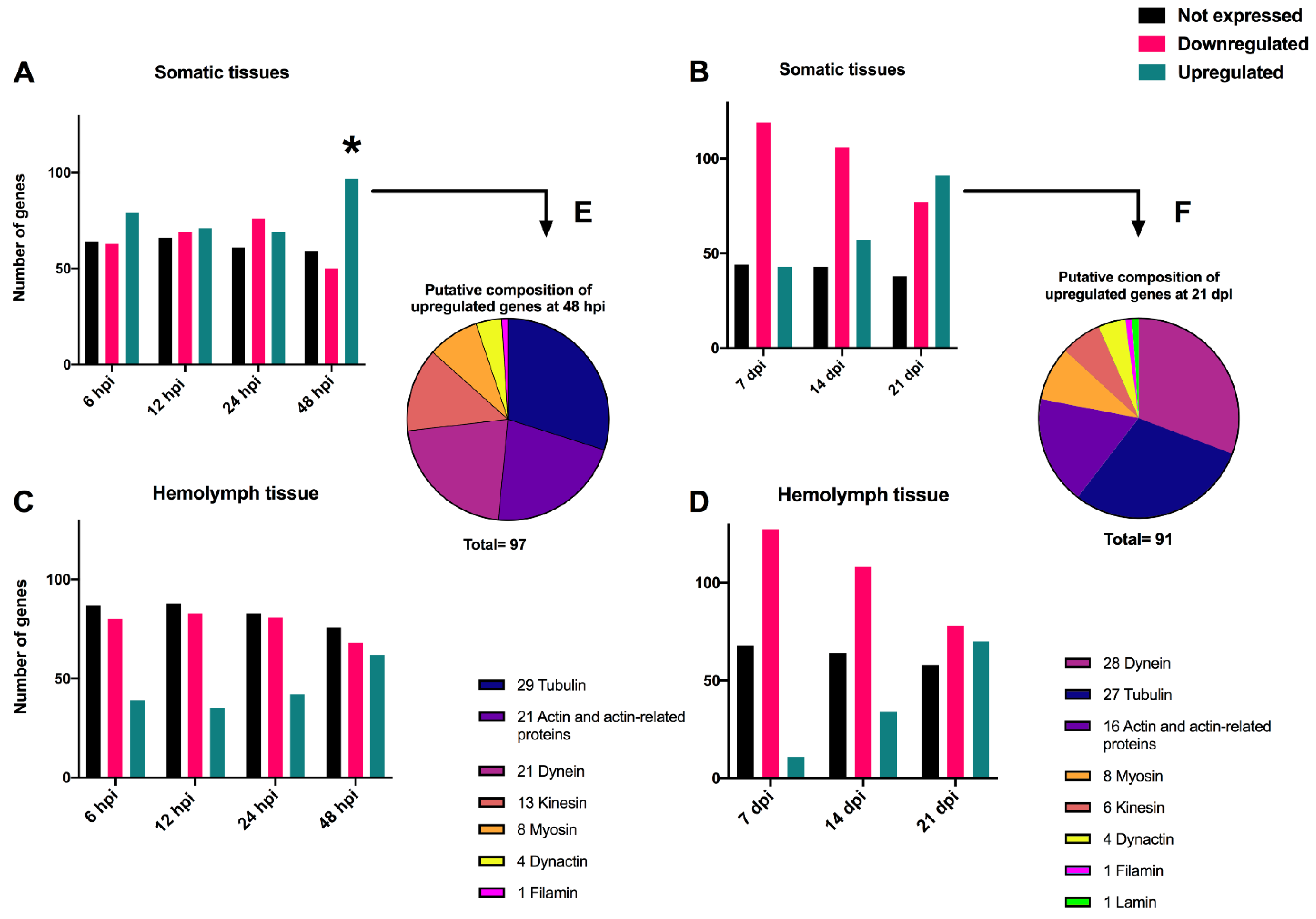 Viruses 14 01444 g002