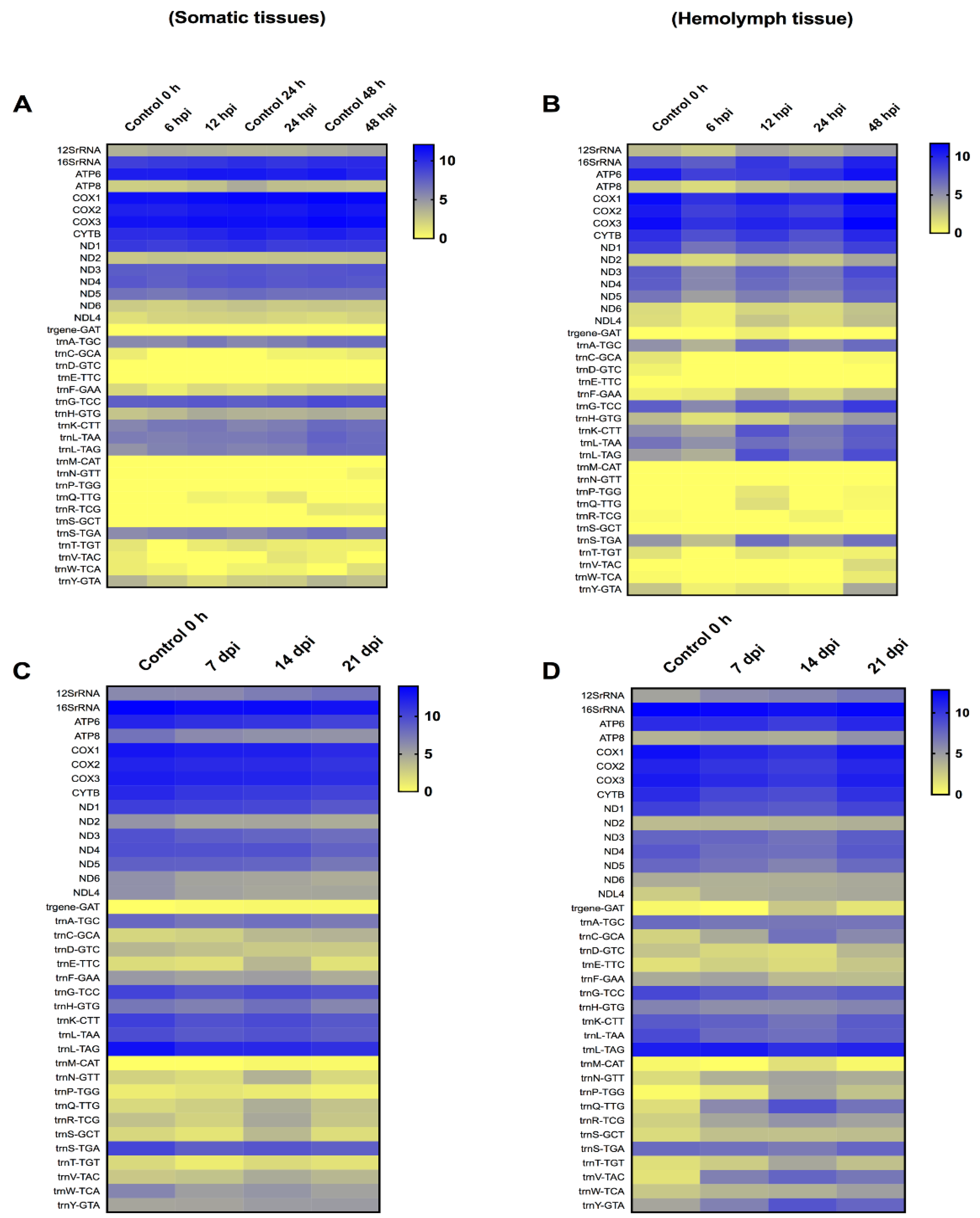 Viruses 14 01444 g003