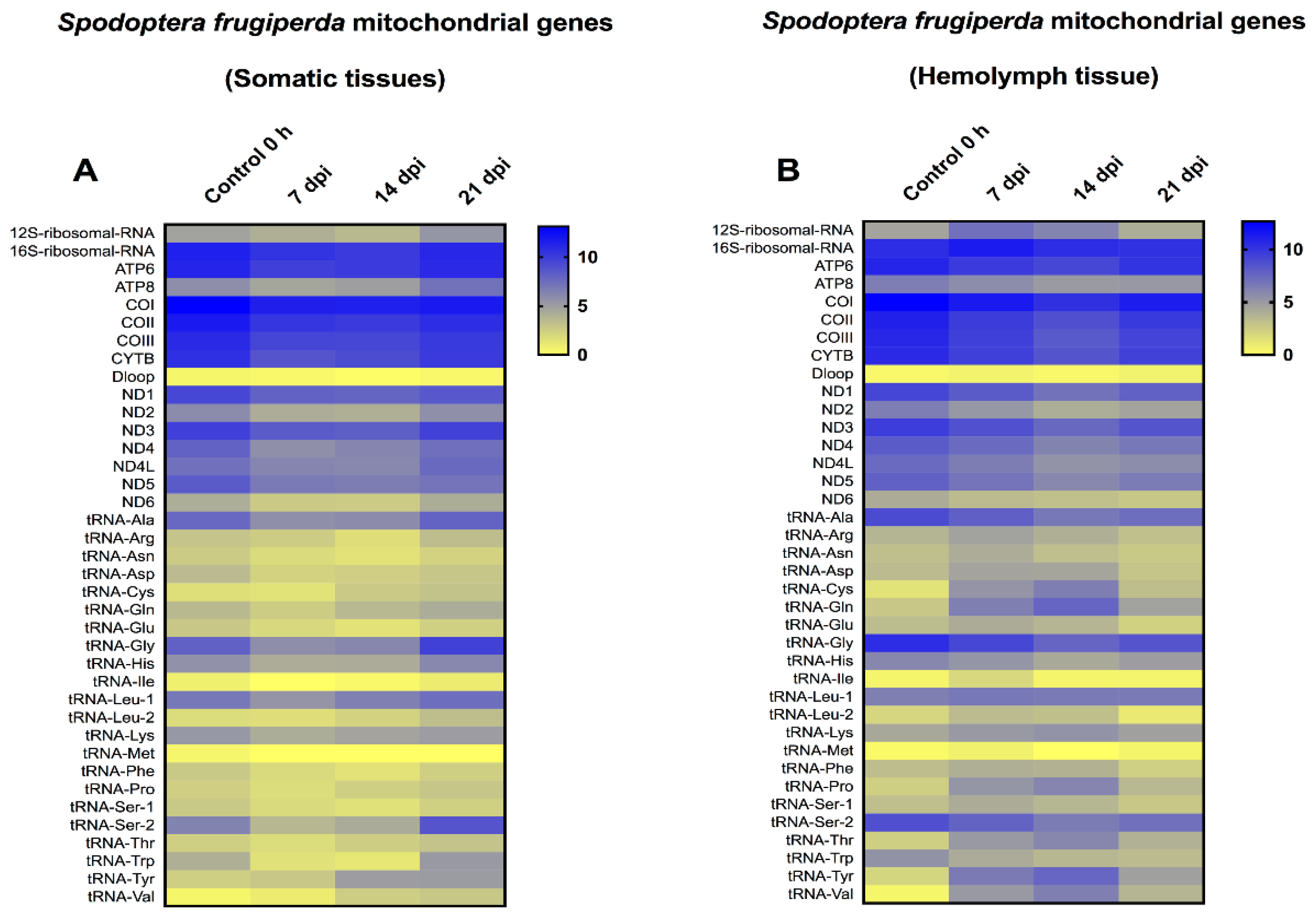 Viruses 14 01444 g004