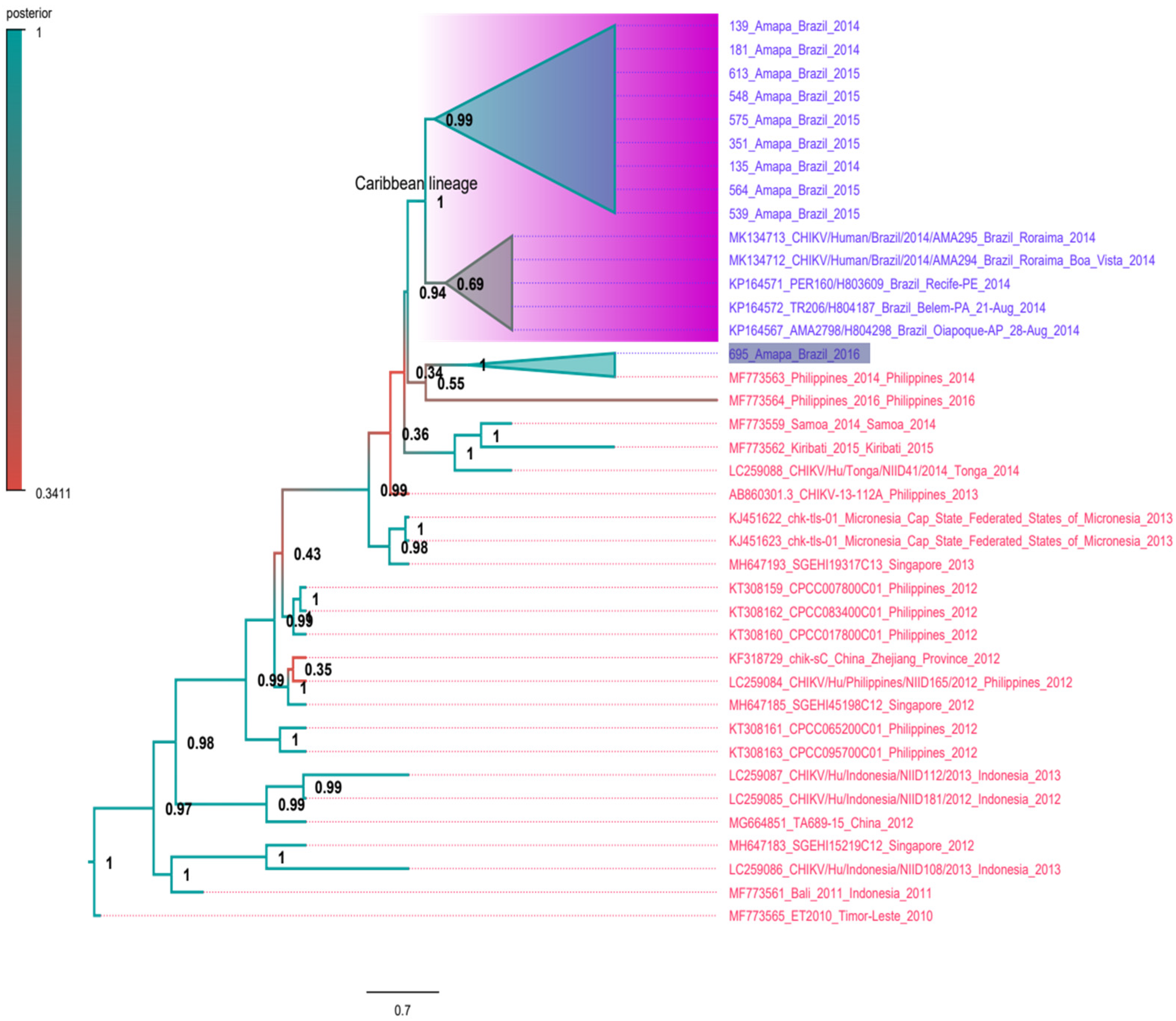 Viruses 14 01445 g005