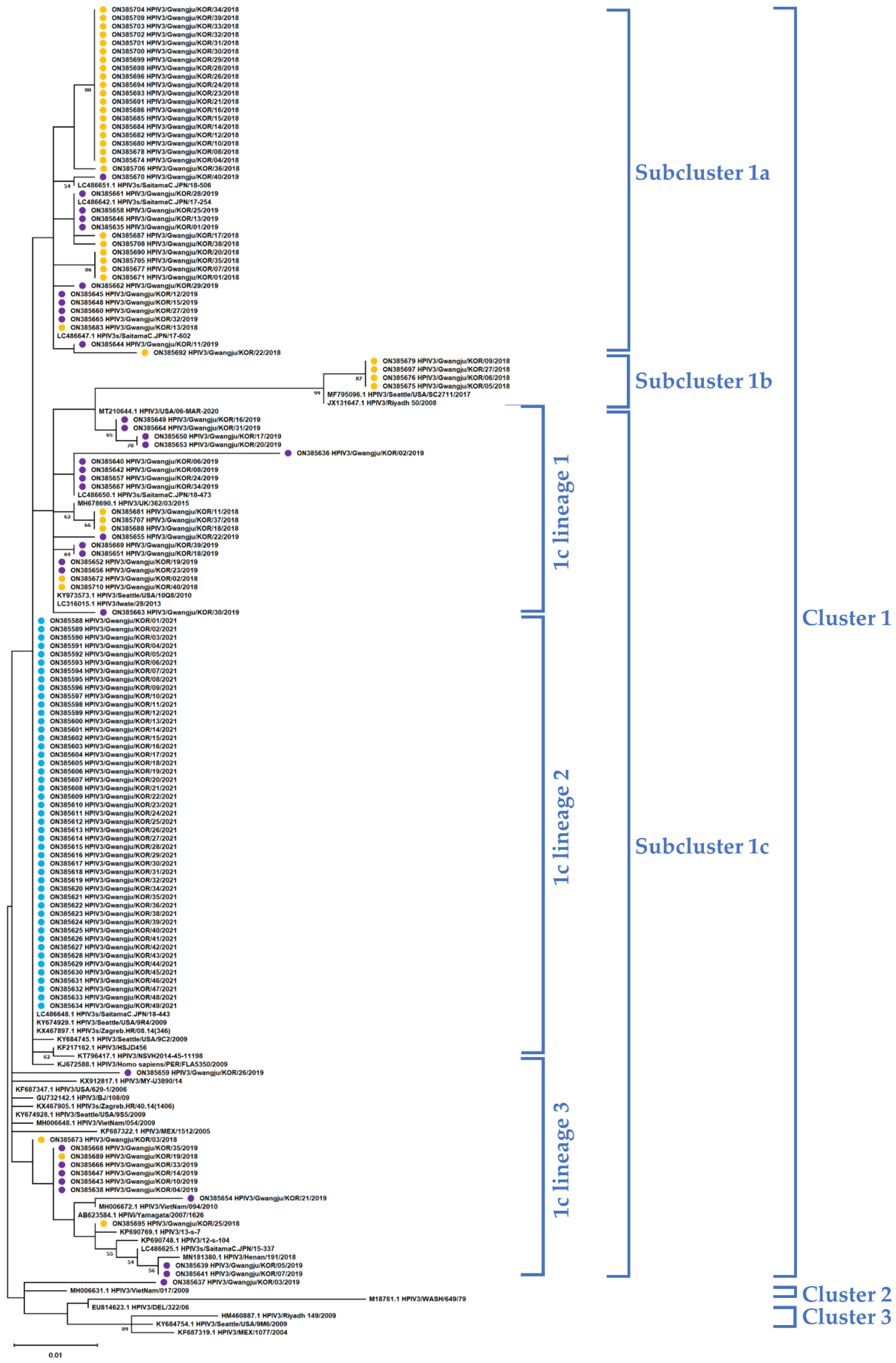 Viruses 14 01446 g002