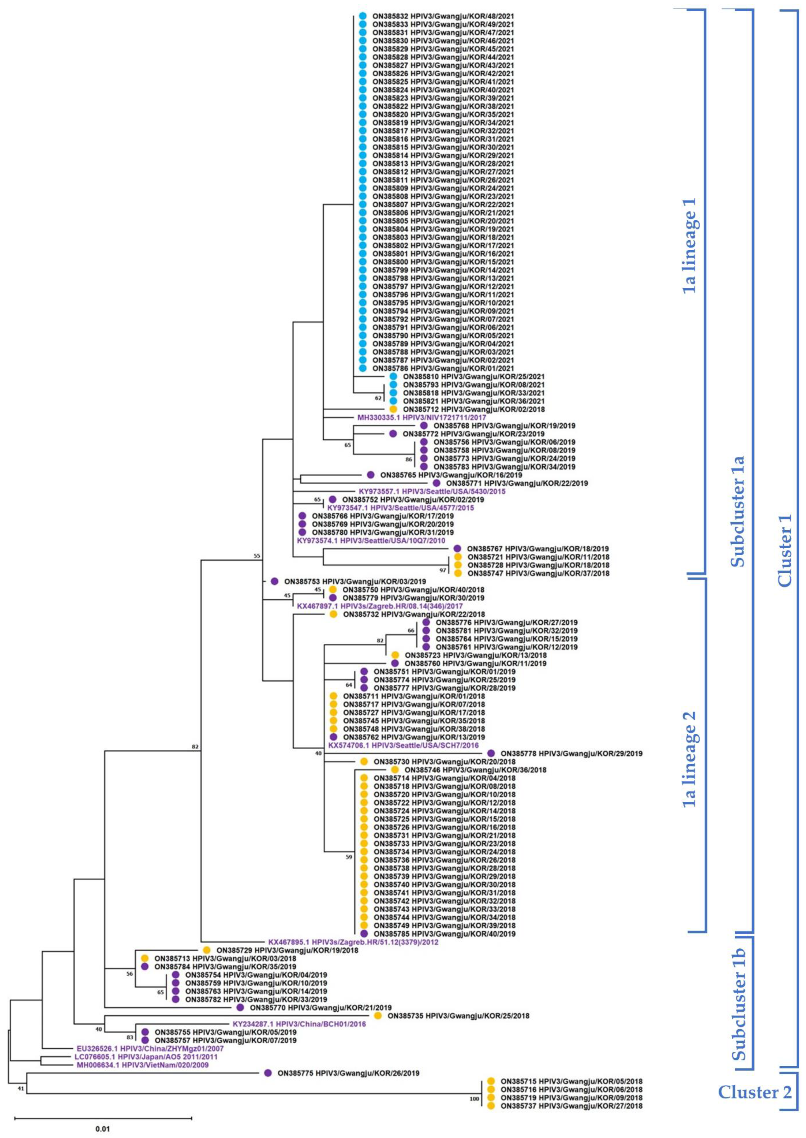 Viruses 14 01446 g003