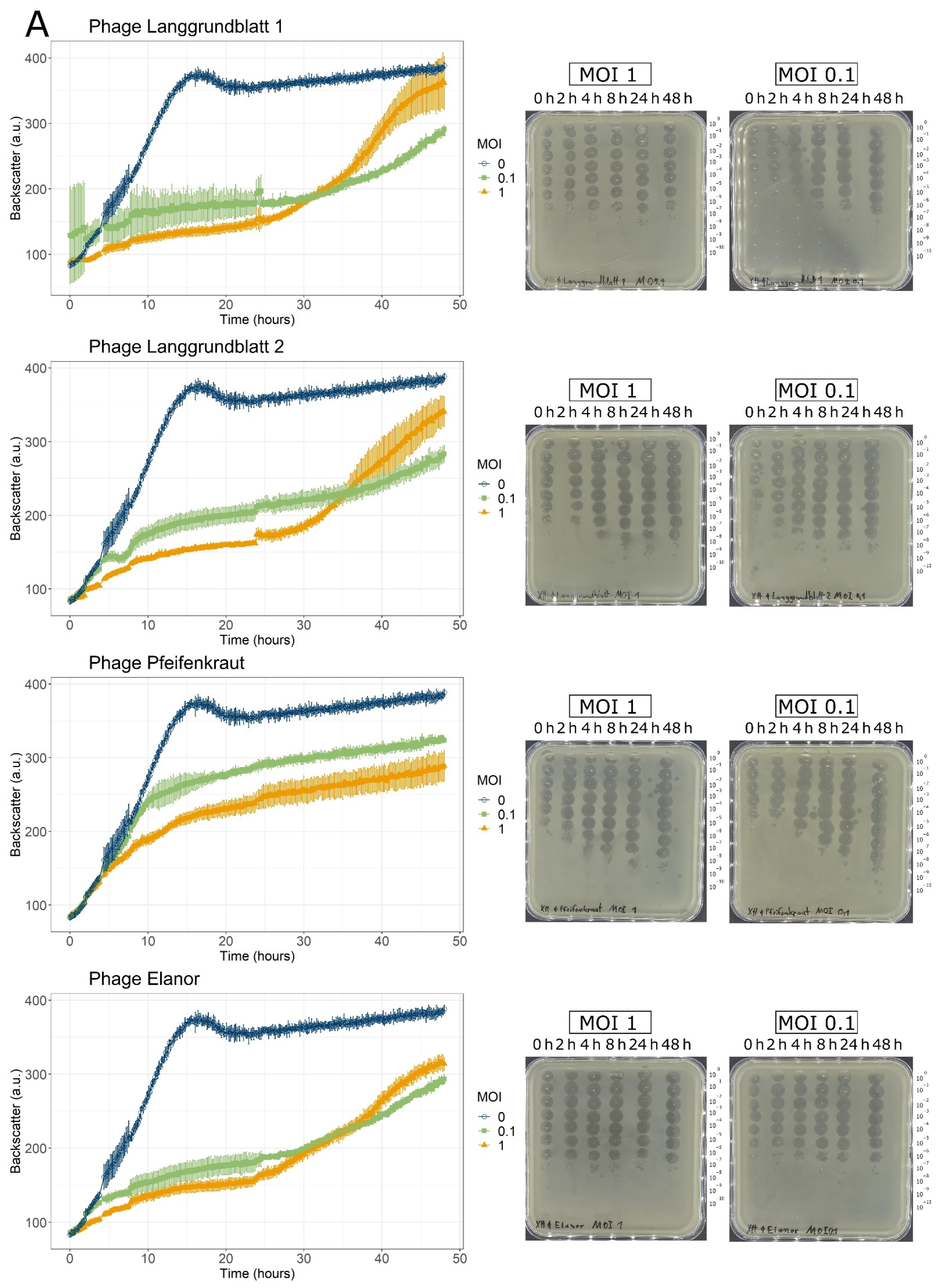 Viruses 14 01449 g002a