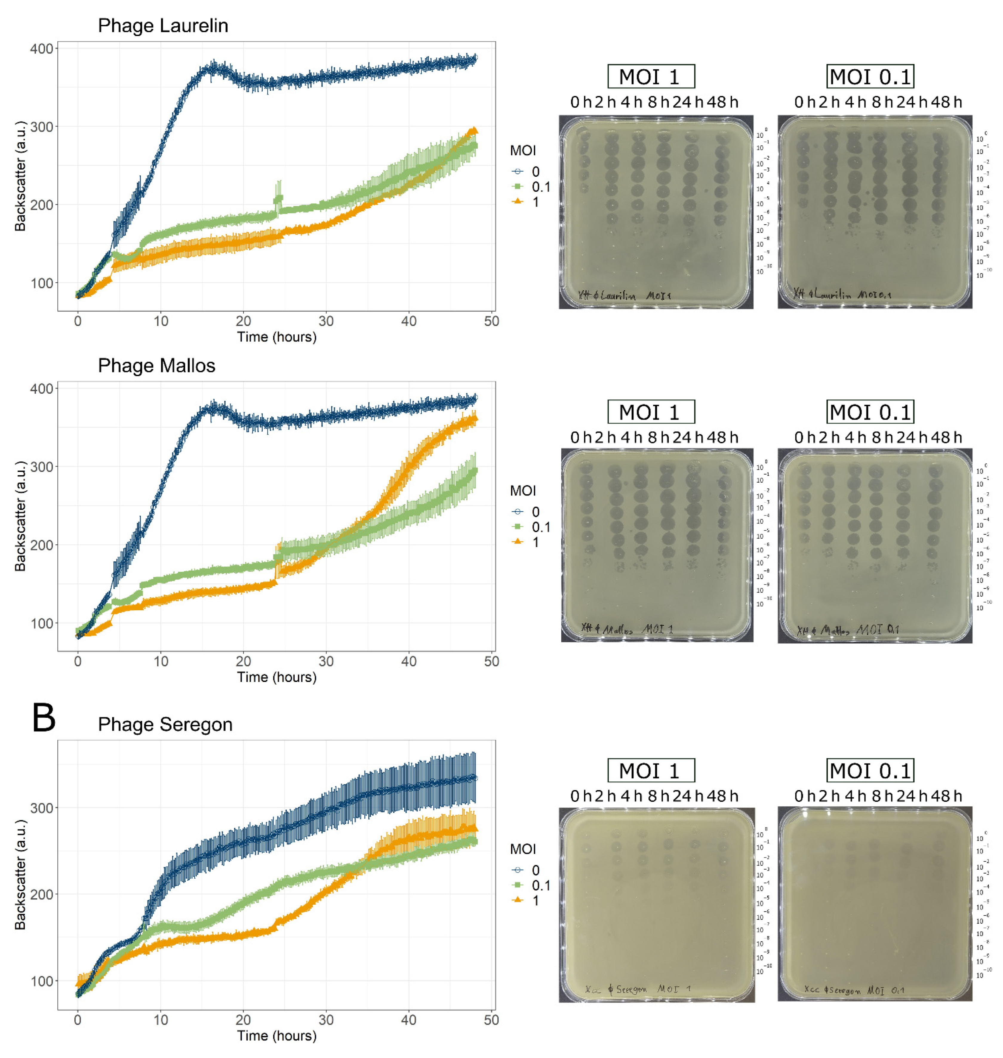 Viruses 14 01449 g002b