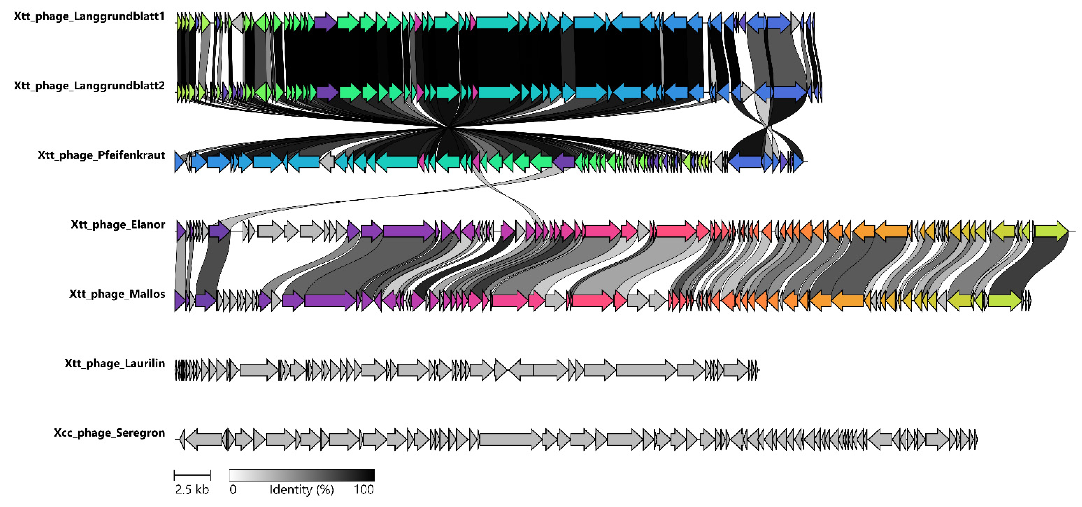 Viruses 14 01449 g004