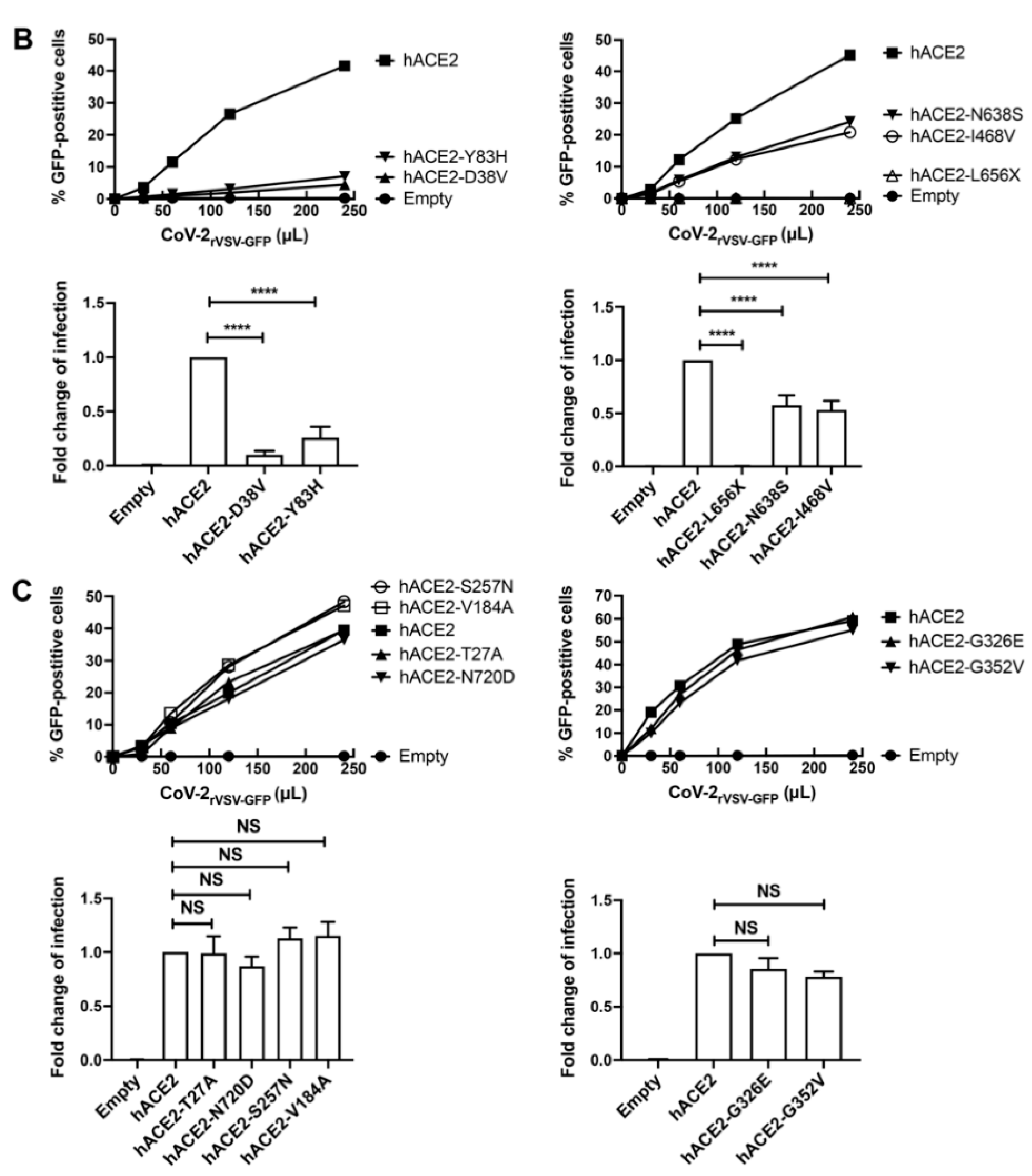 Viruses 14 01451 g002b