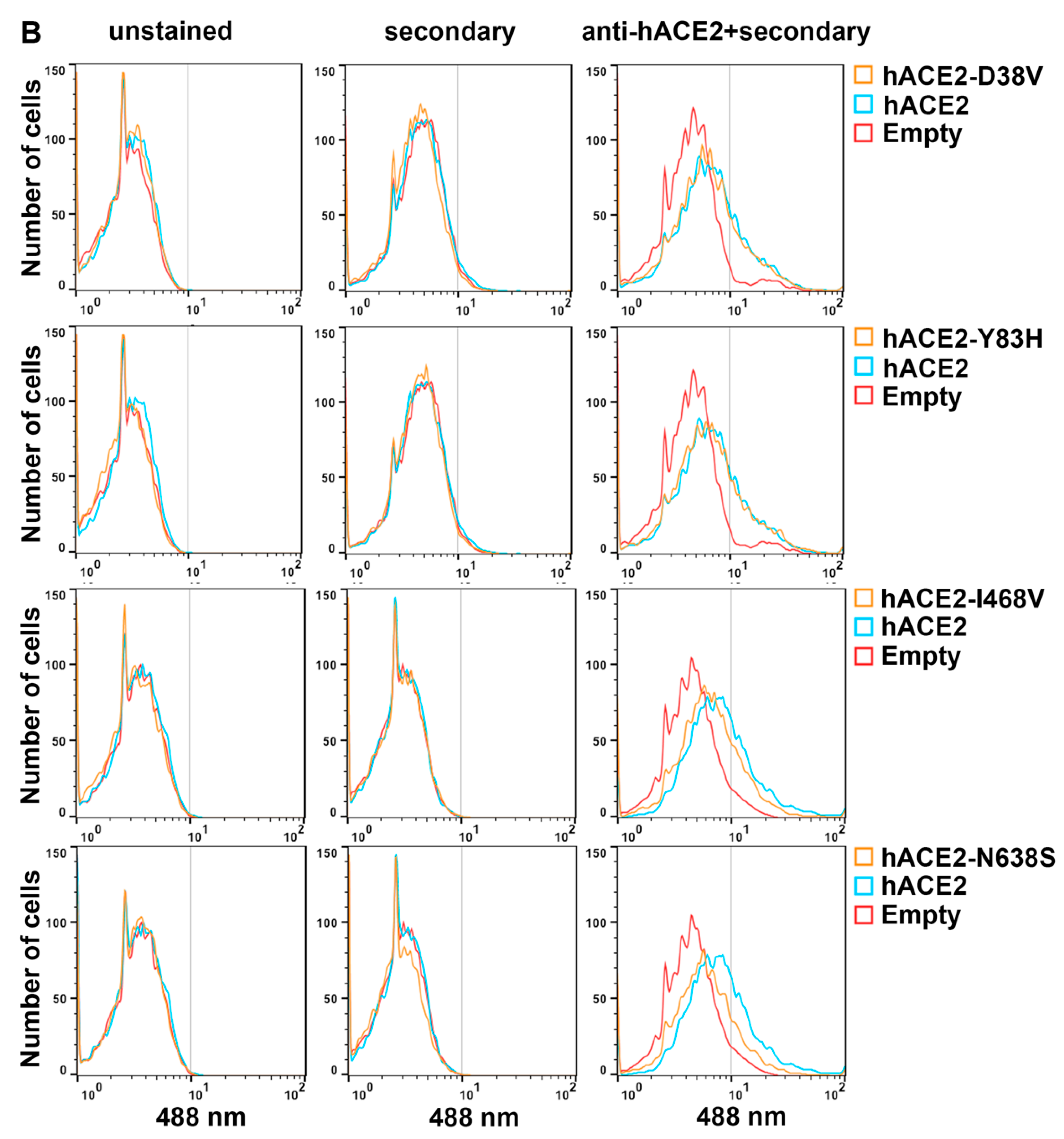 Viruses 14 01451 g003b
