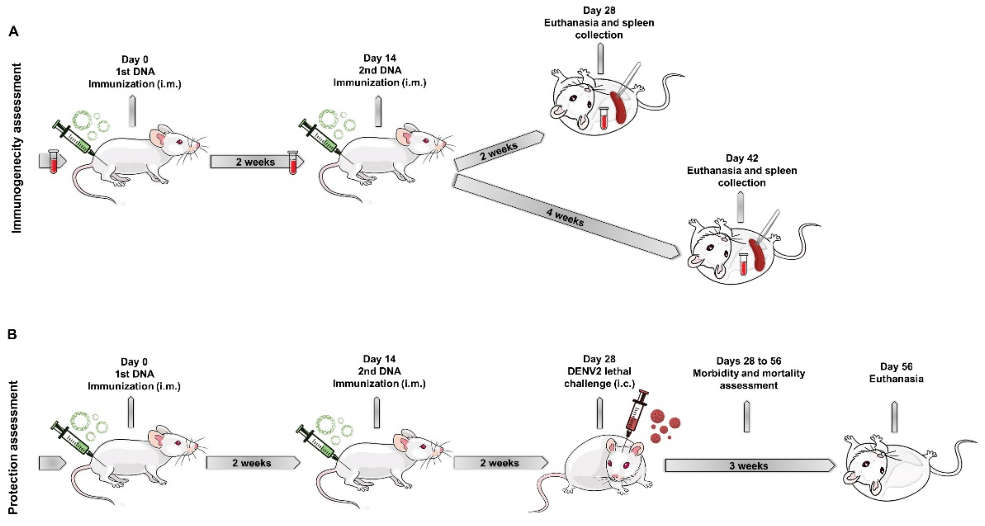 Viruses 14 01452 g001