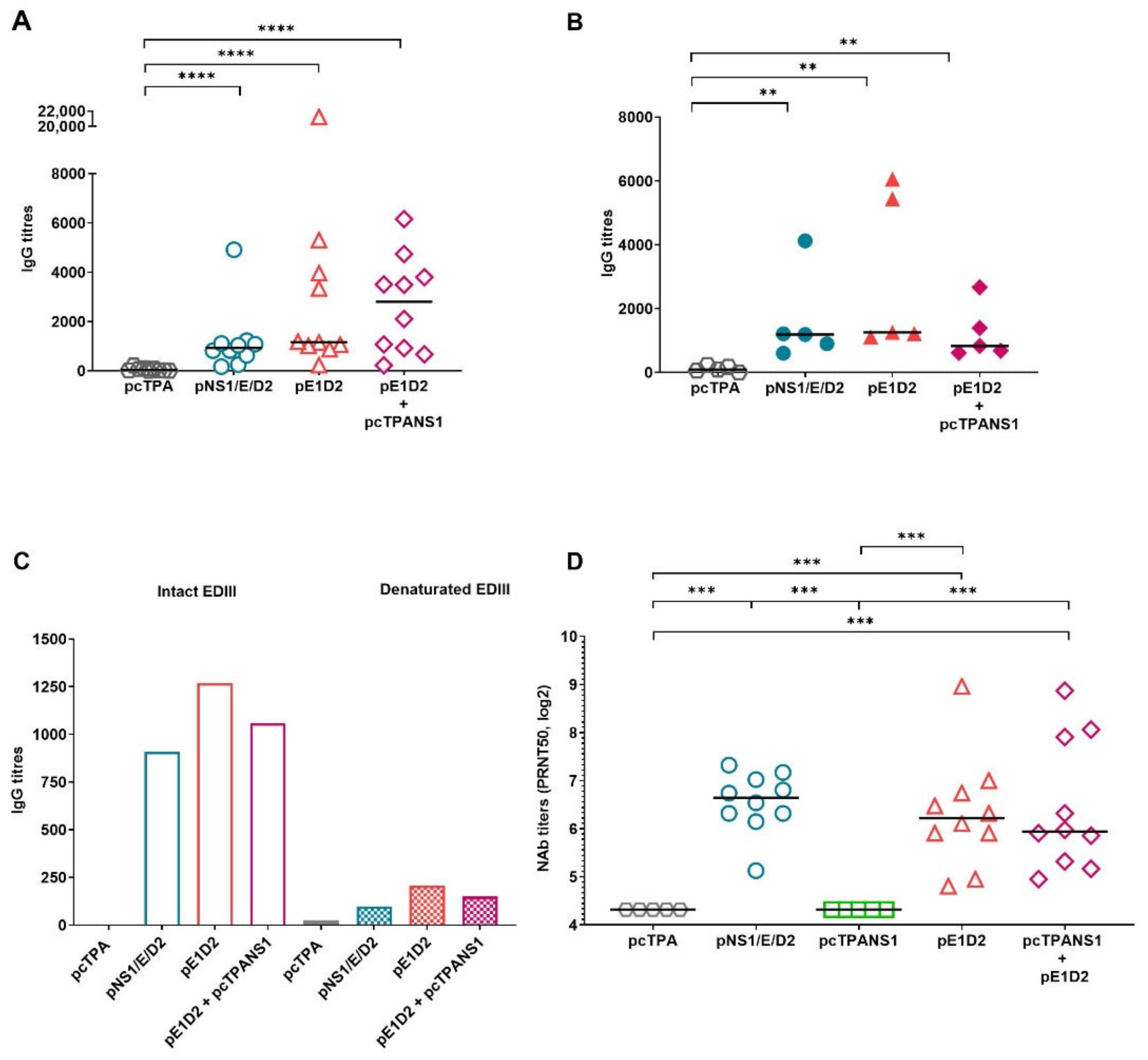 Viruses 14 01452 g004