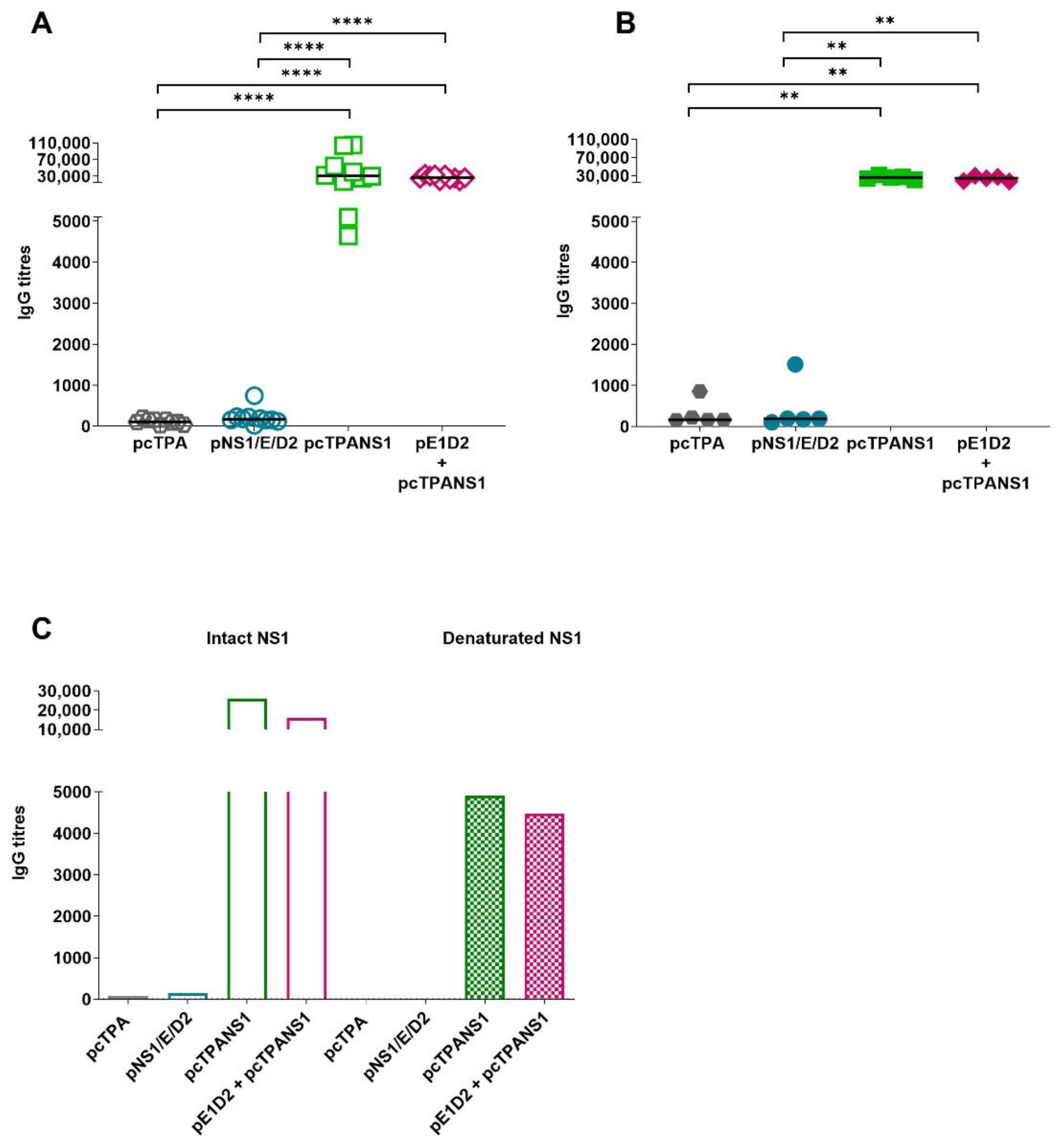Viruses 14 01452 g005