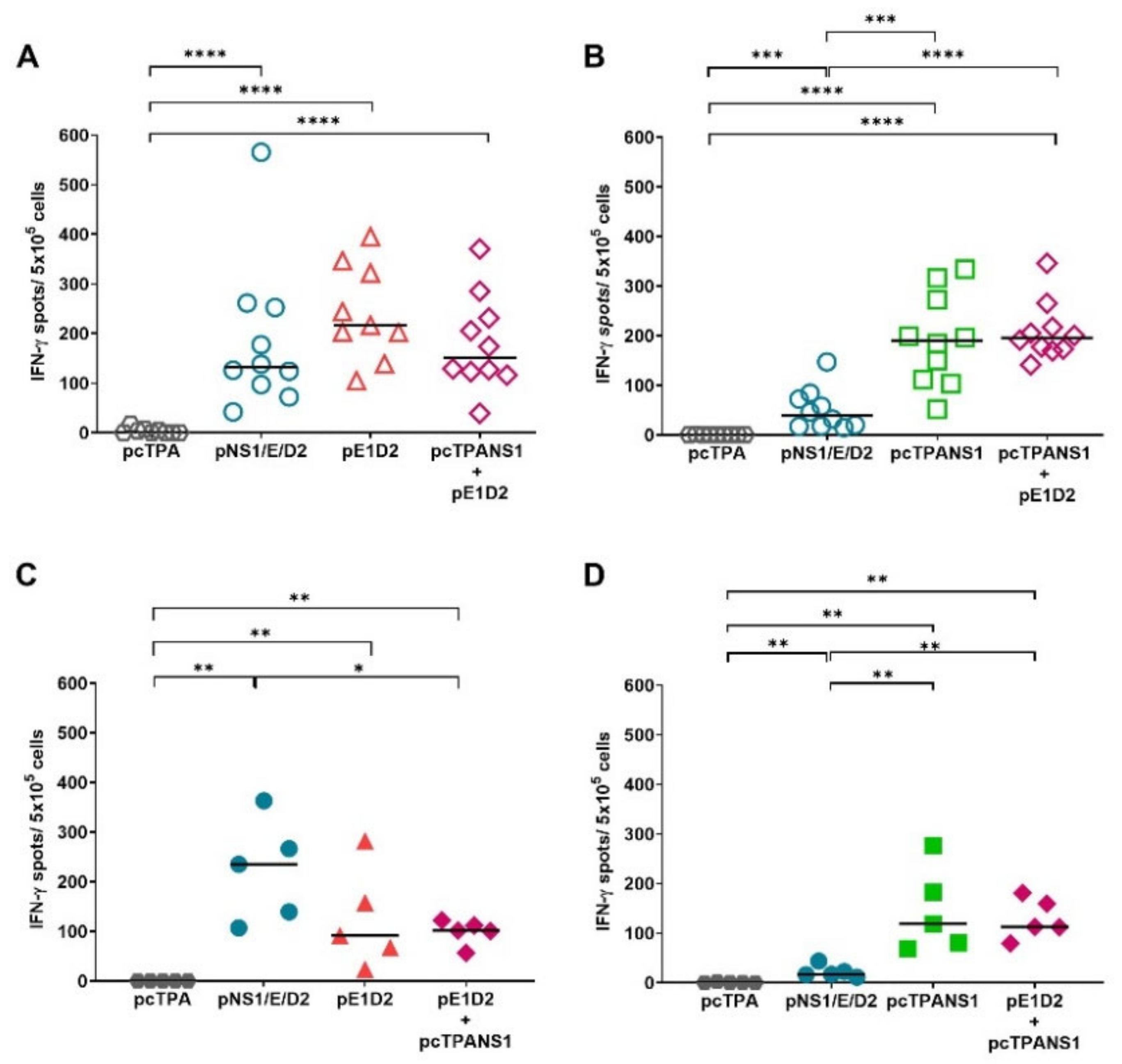 Viruses 14 01452 g006
