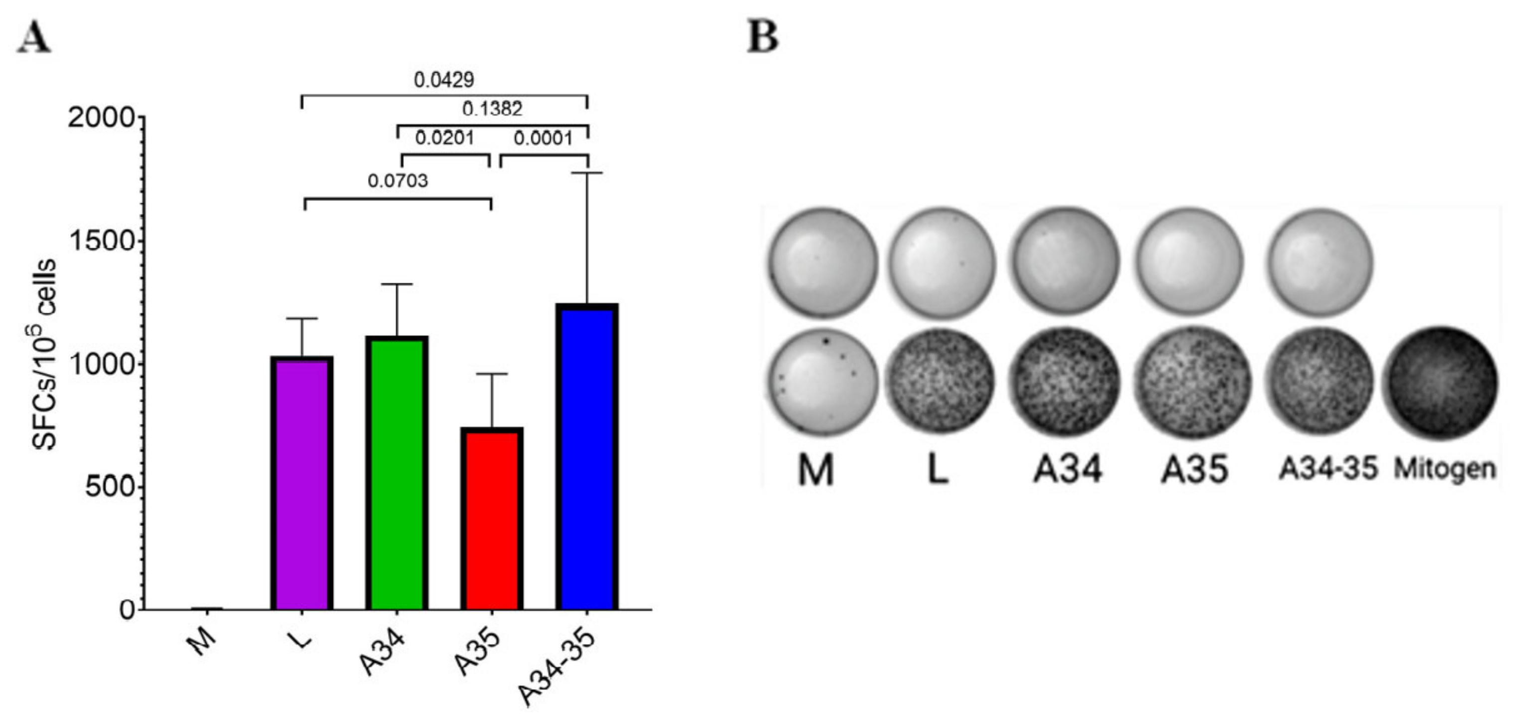 Viruses 14 01453 g003