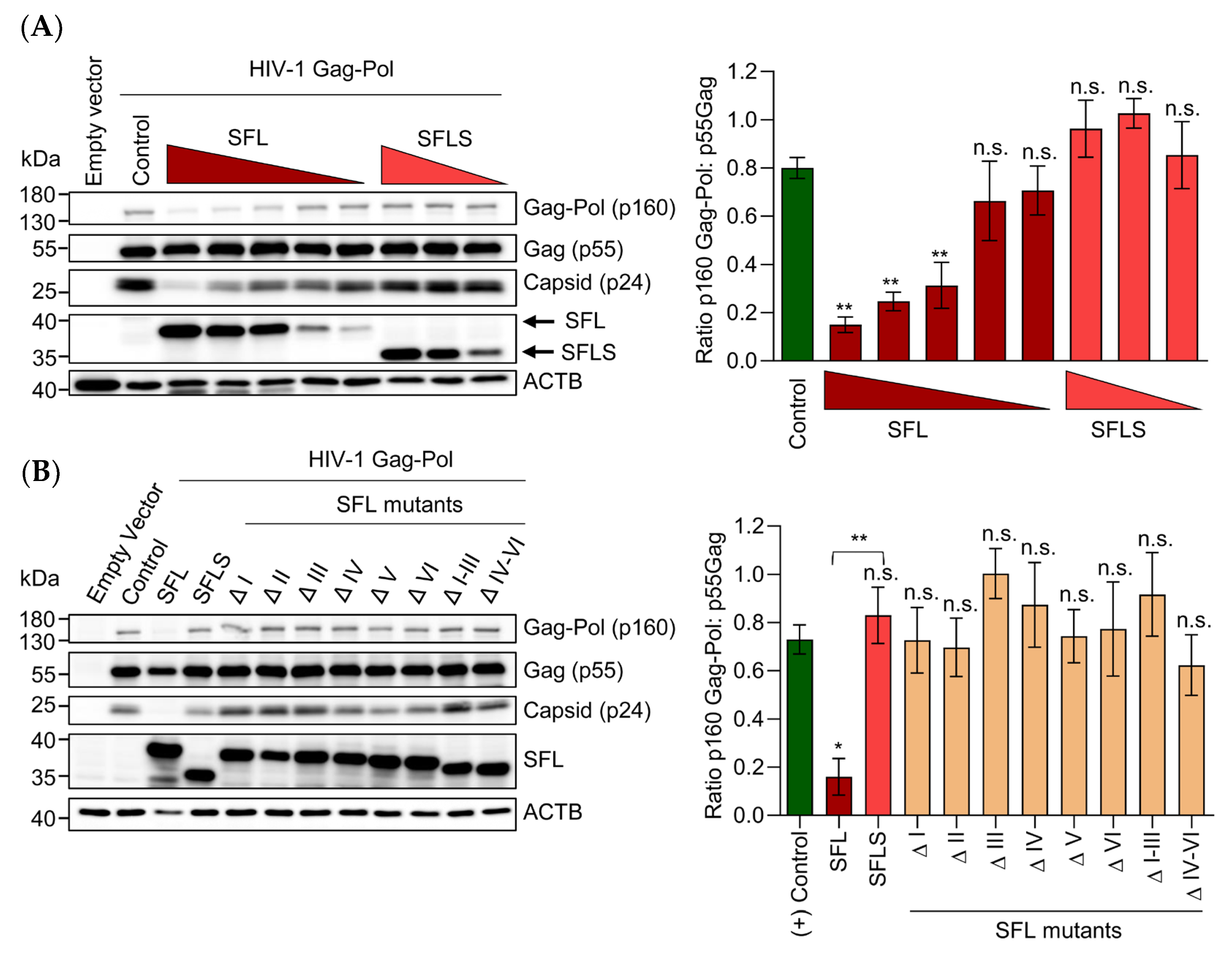 Viruses 14 01454 g003