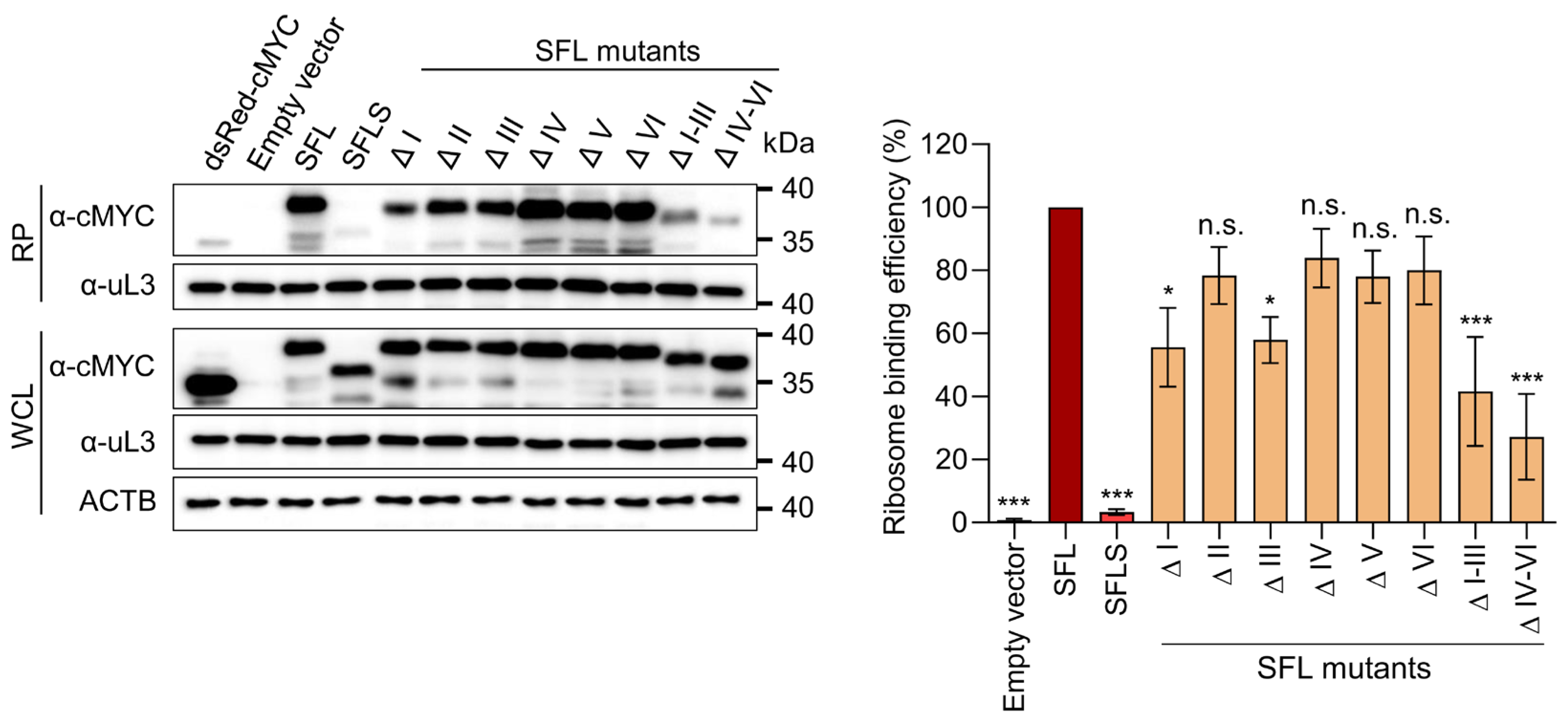 Viruses 14 01454 g006