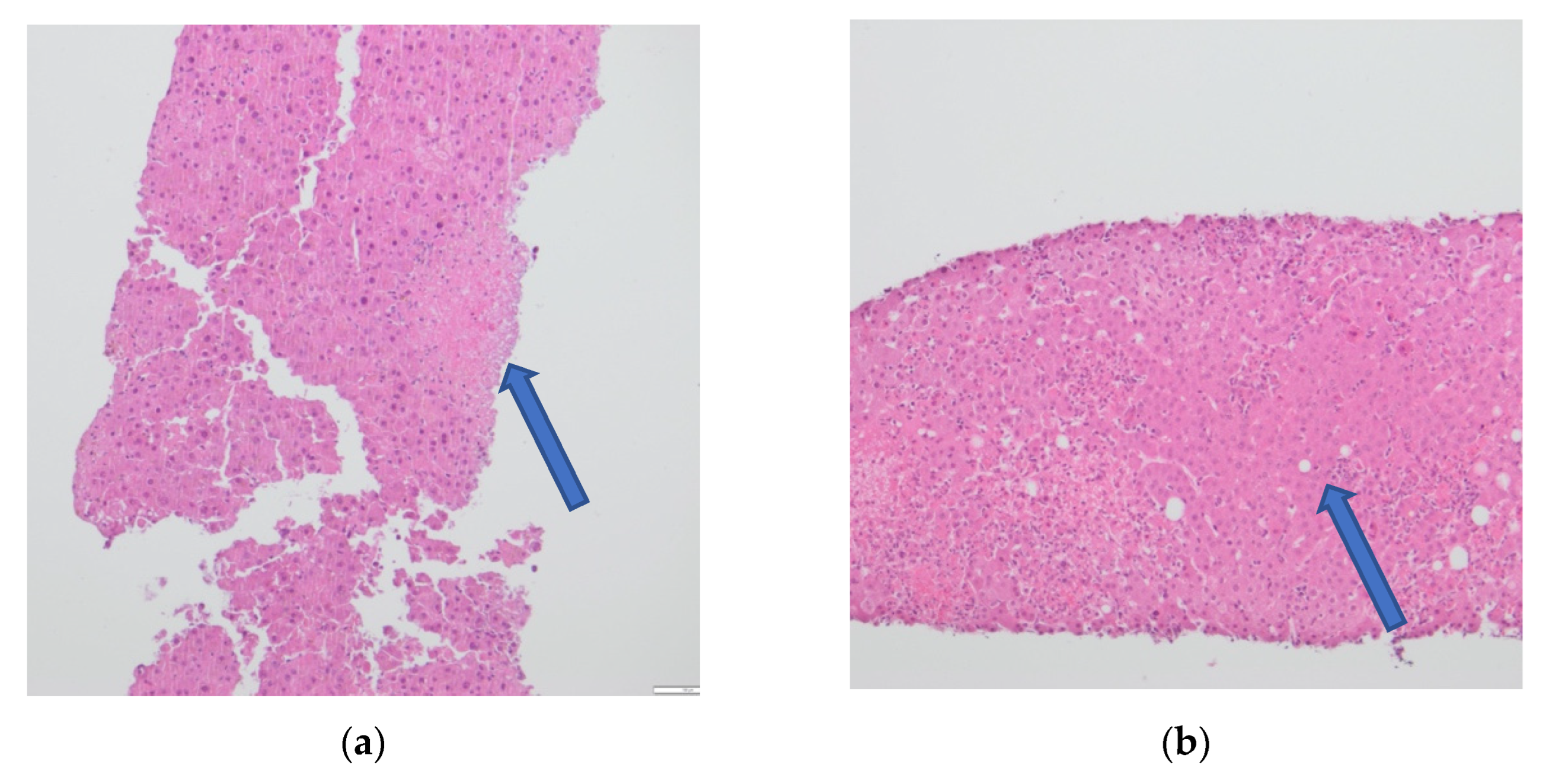 Viruses 14 01459 g002